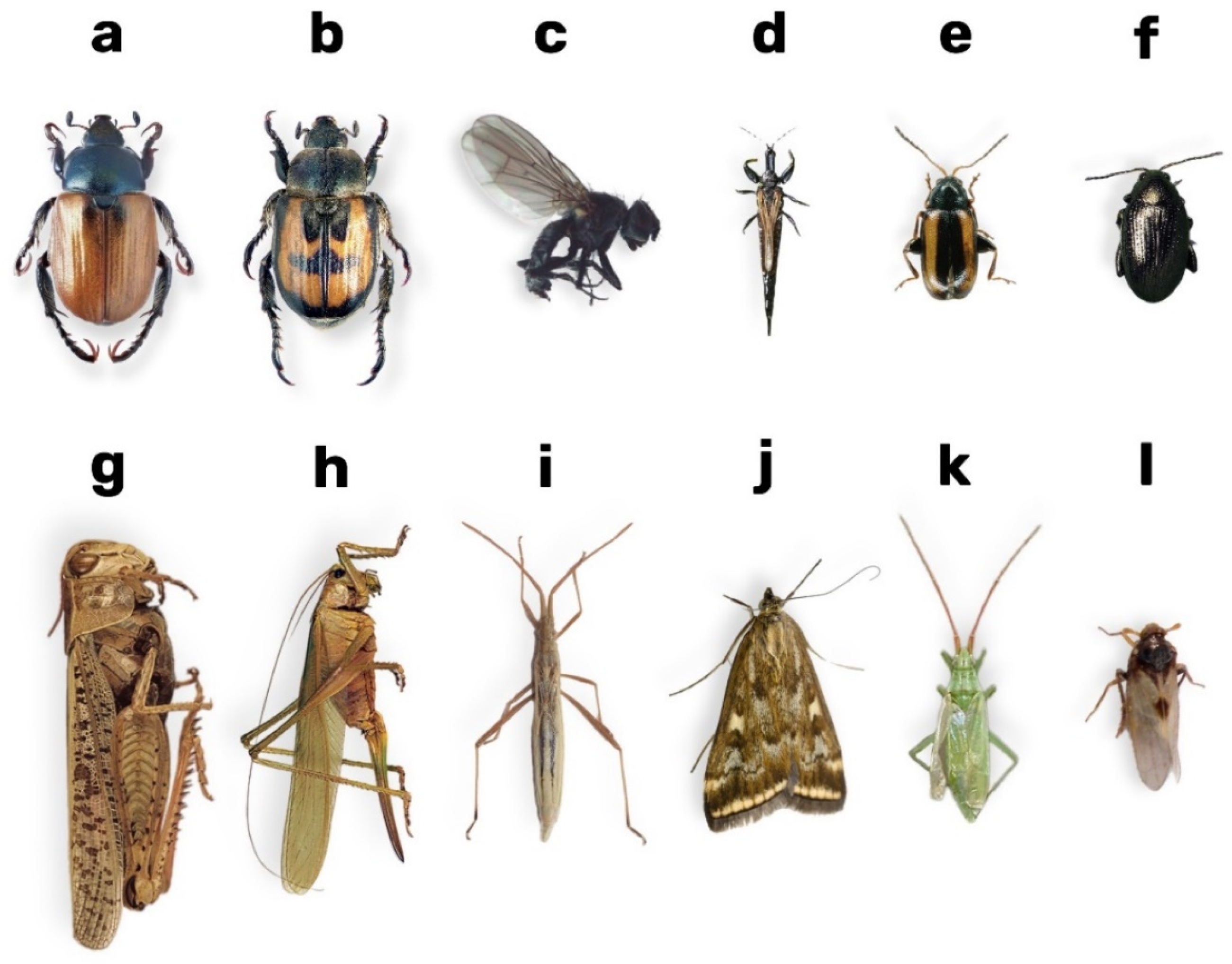 Biology 14 01715 g003