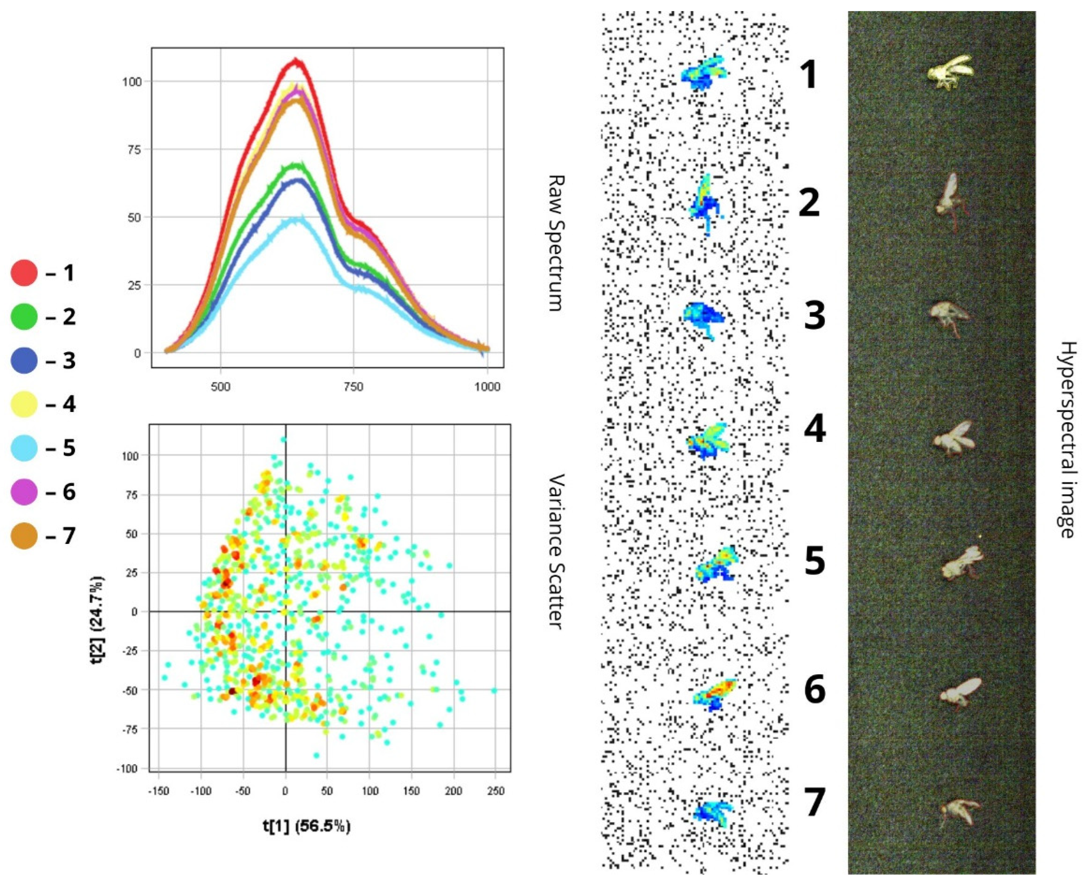 Biology 14 01715 g007