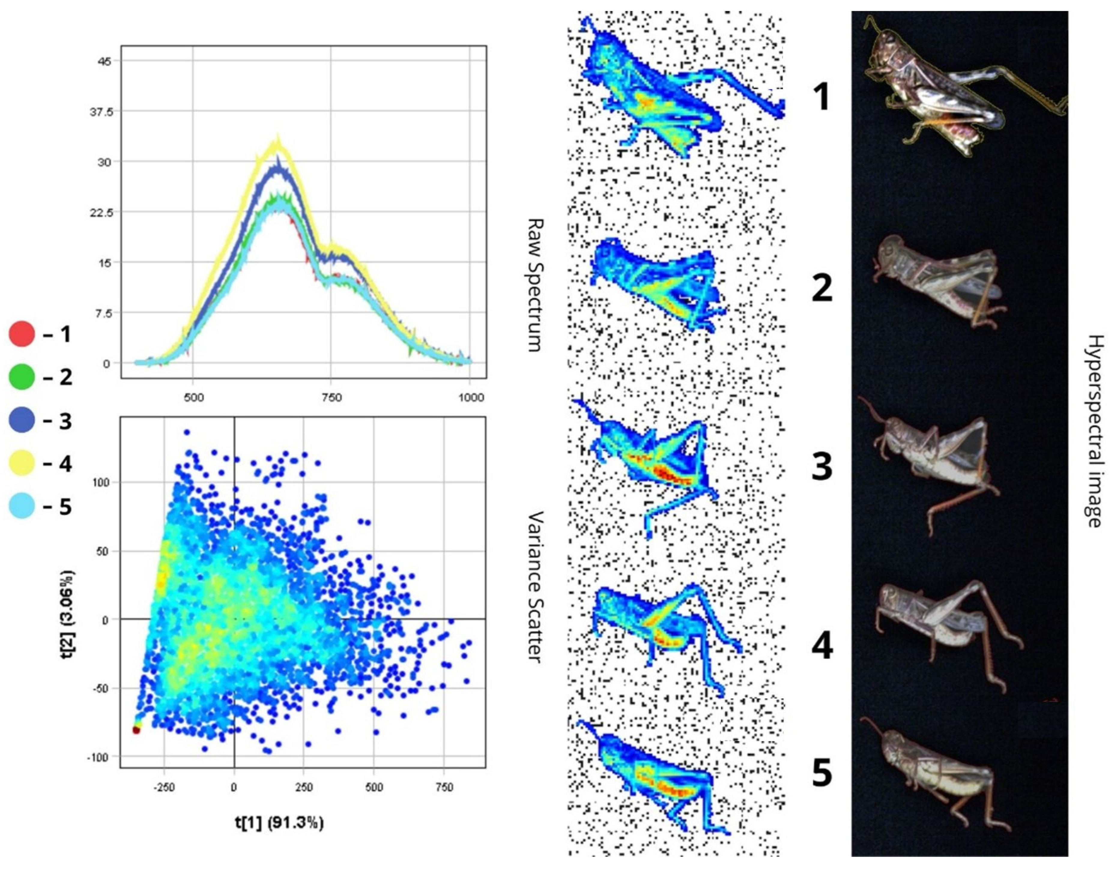 Biology 14 01715 g009