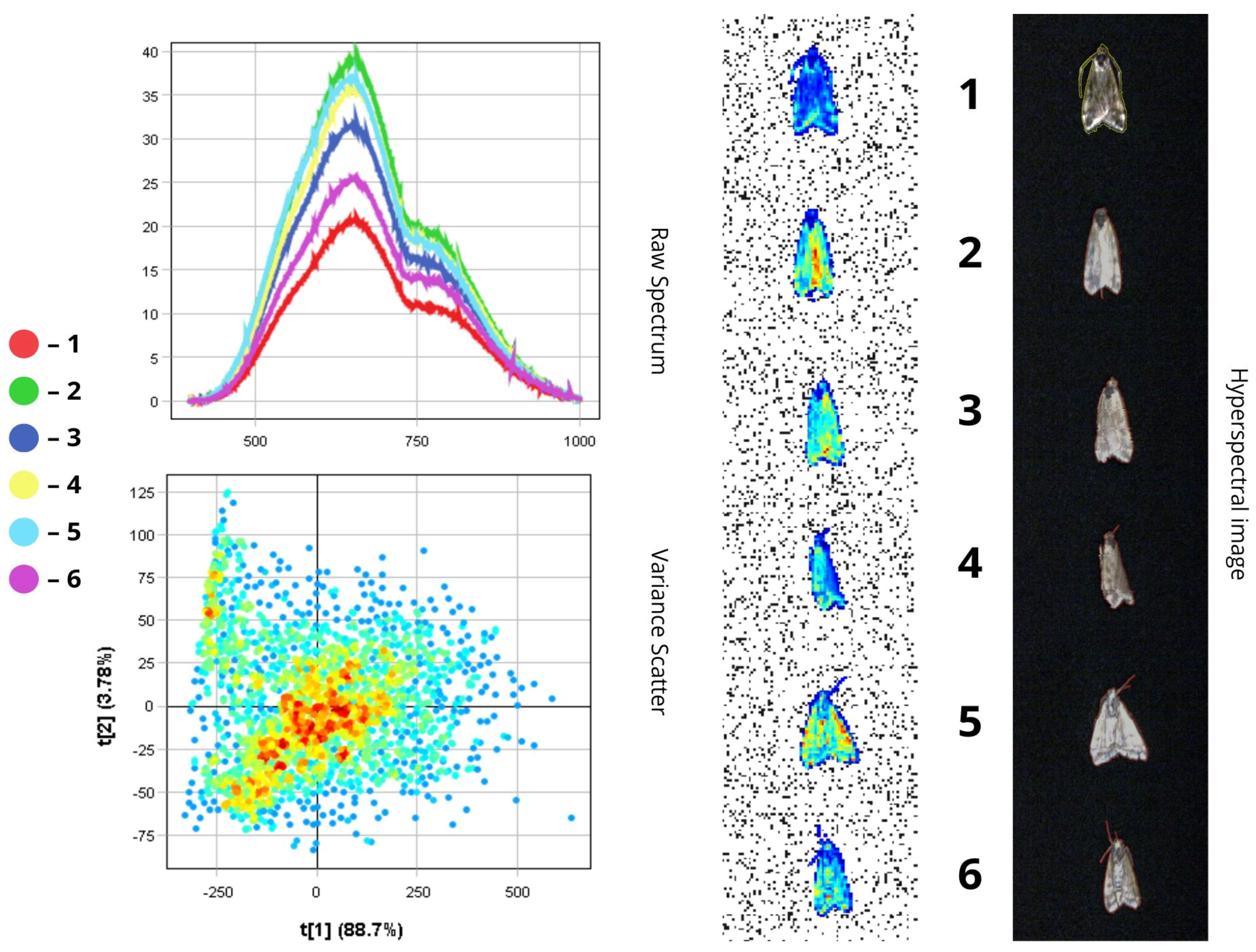 Biology 14 01715 g011