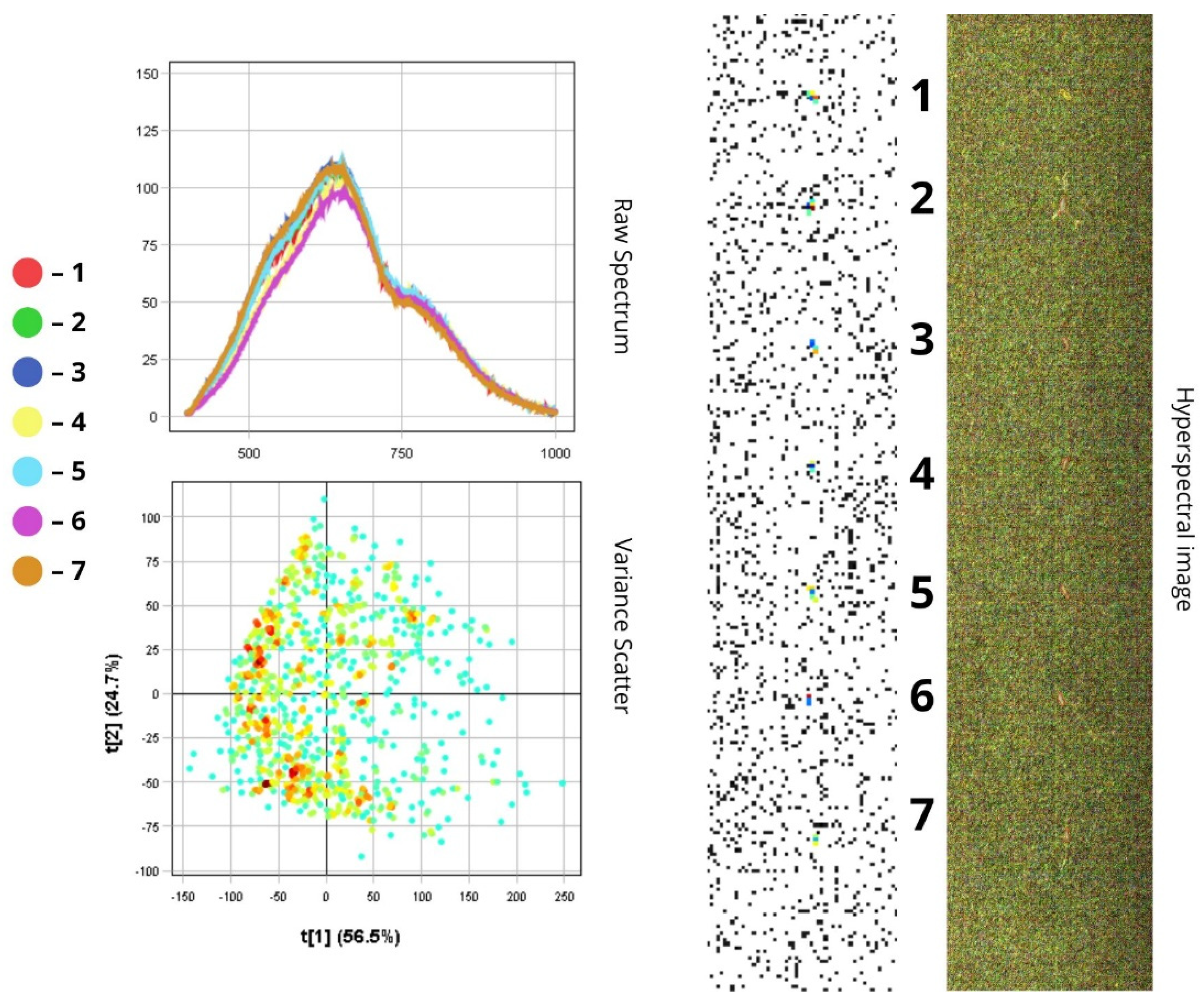 Biology 14 01715 g013