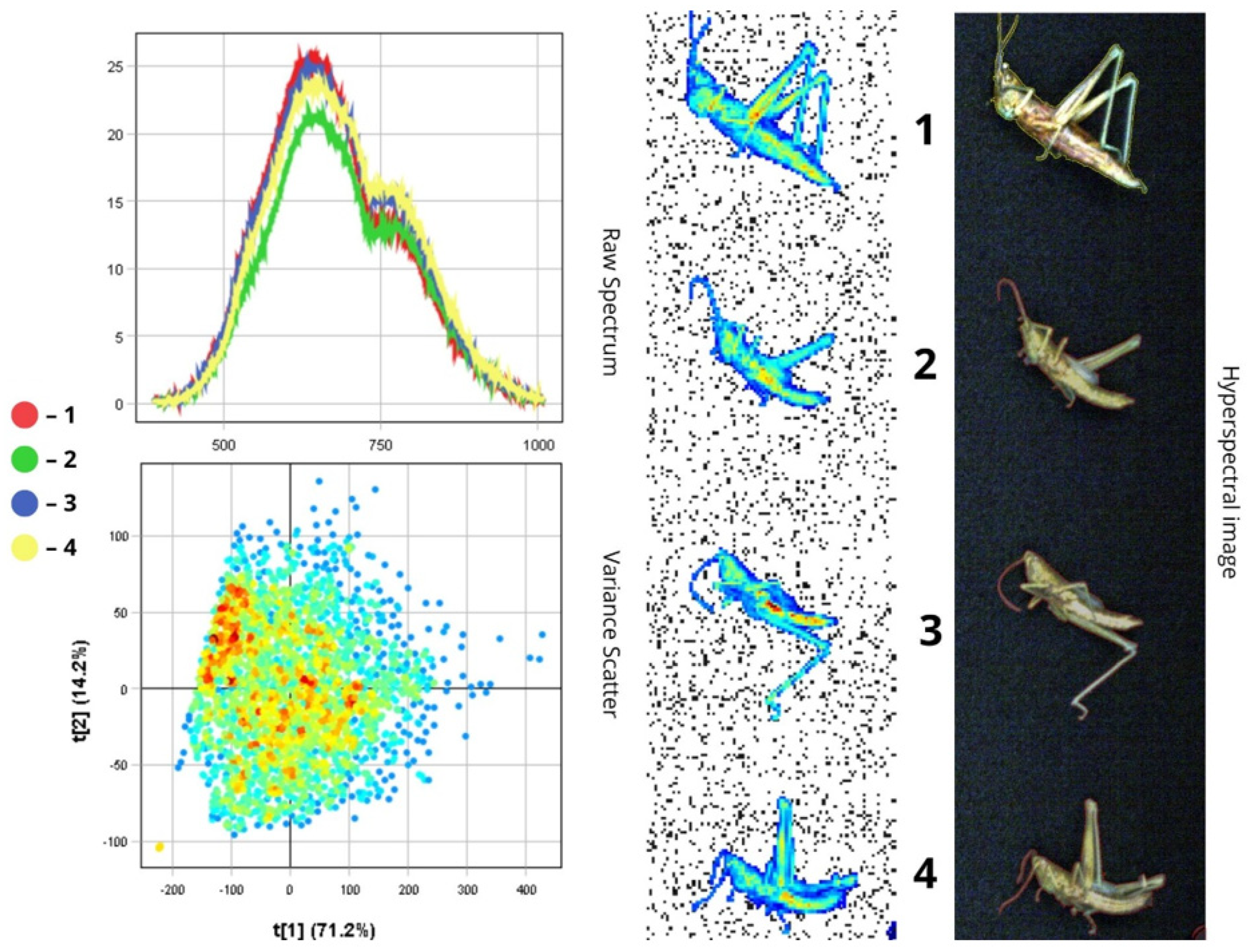 Biology 14 01715 g016
