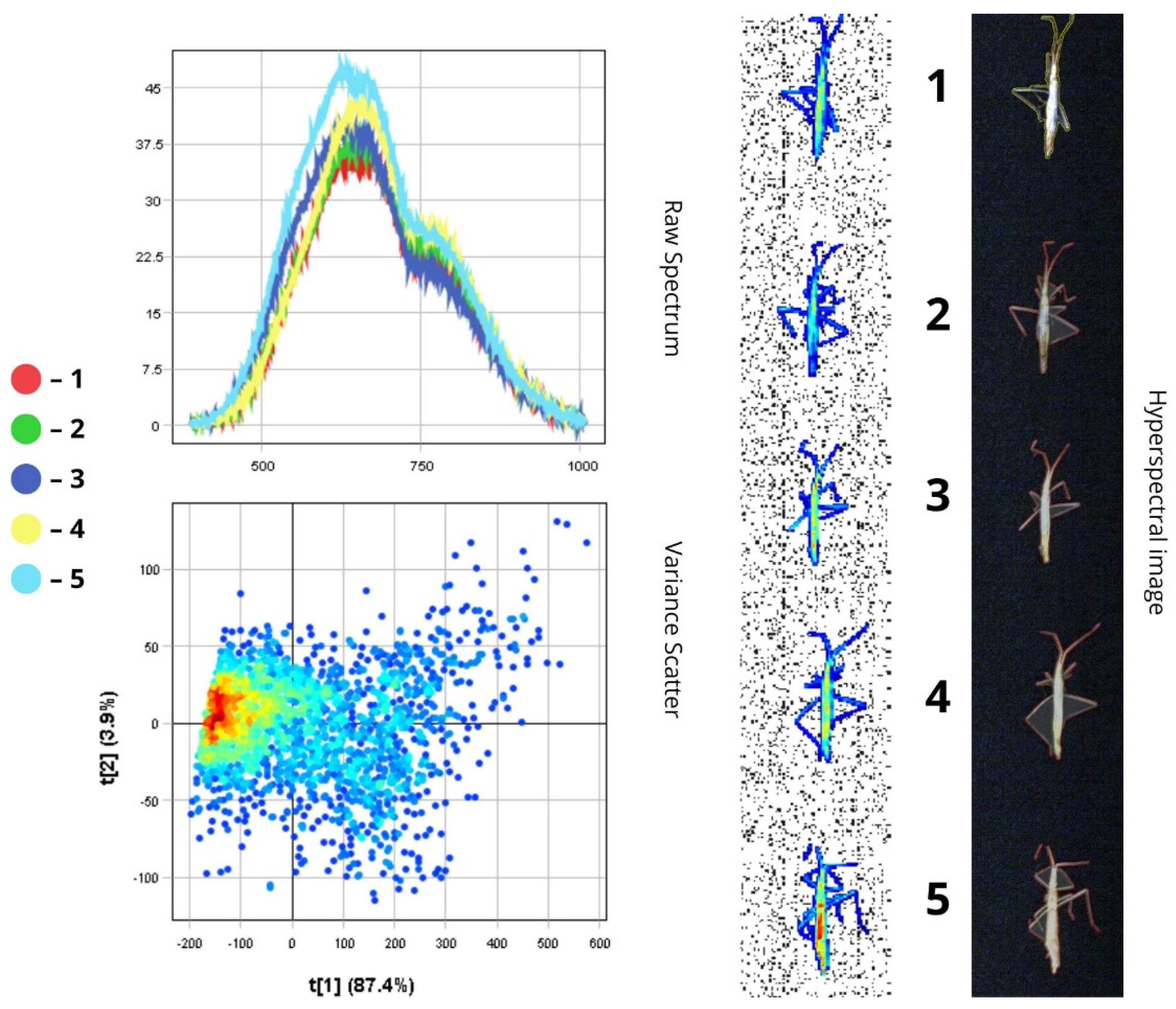 Biology 14 01715 g018