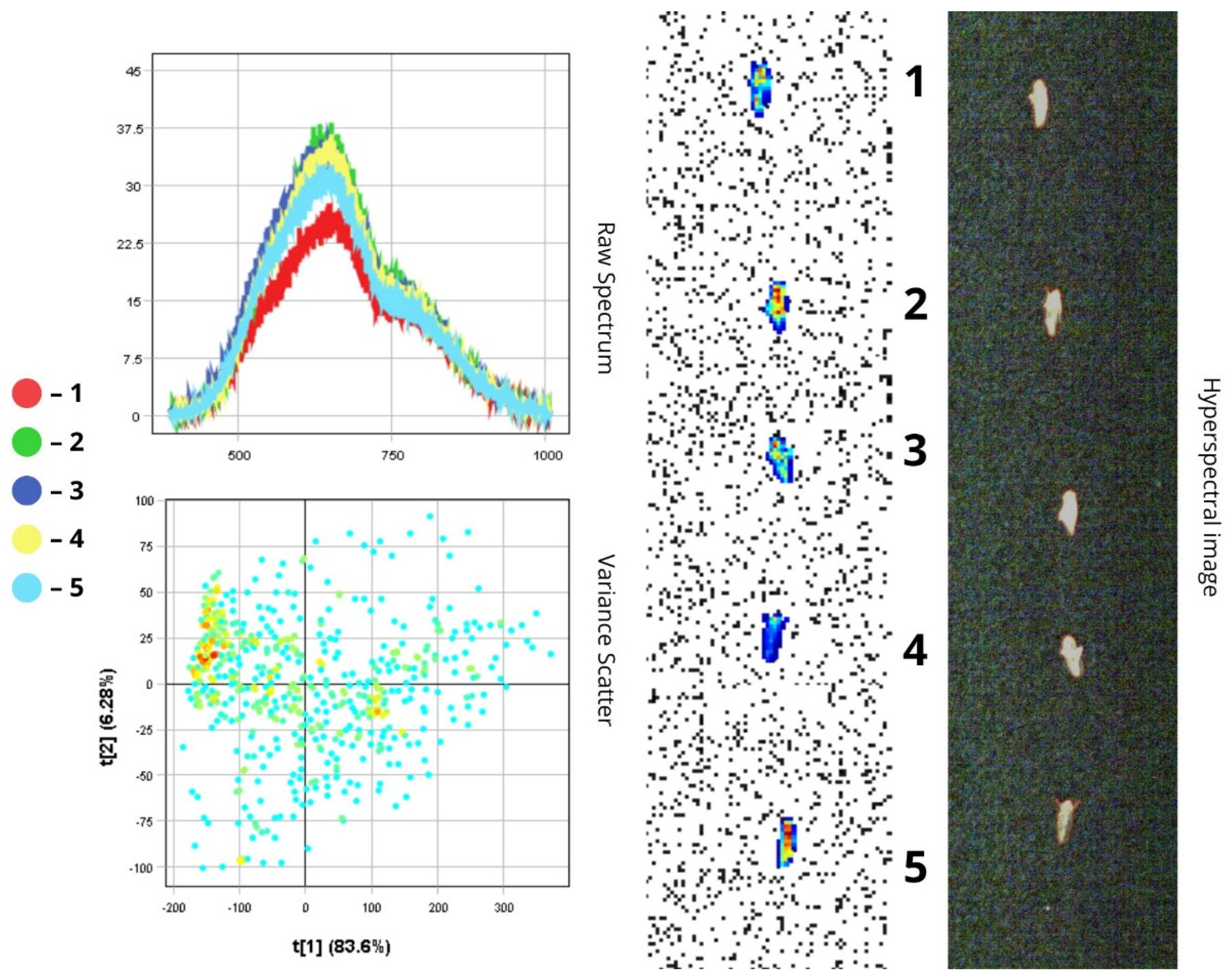 Biology 14 01715 g019
