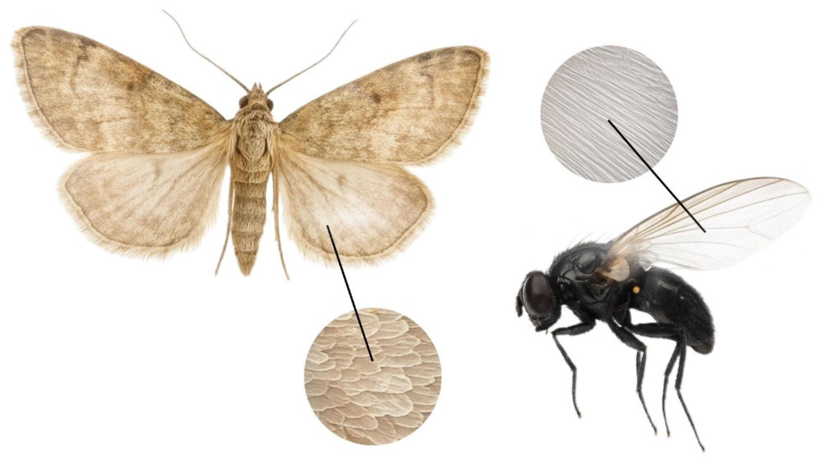 Biology 14 01715 g028