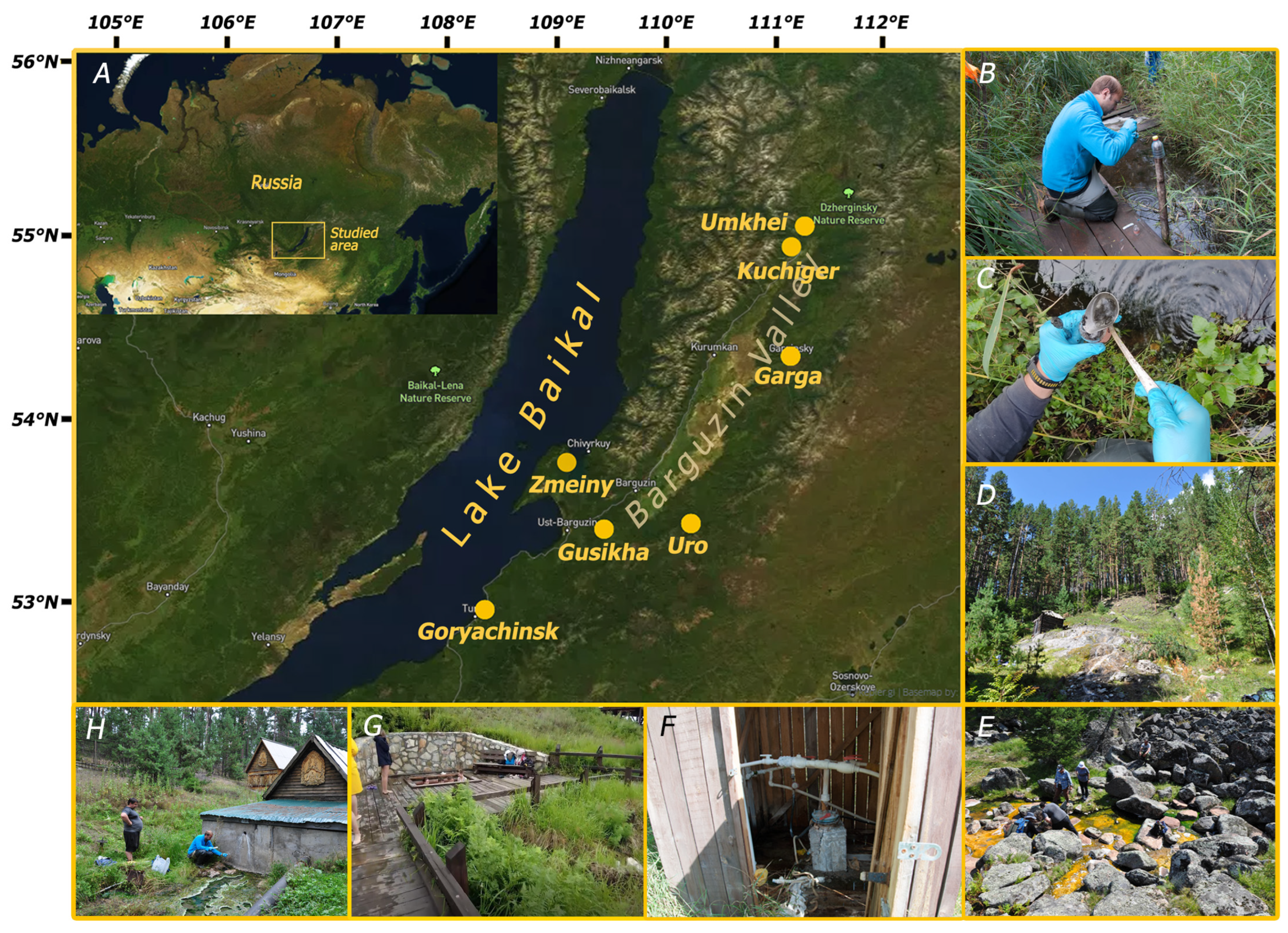Microbial Diversity of the Baikal Rift Zone Freshwater Alkaline