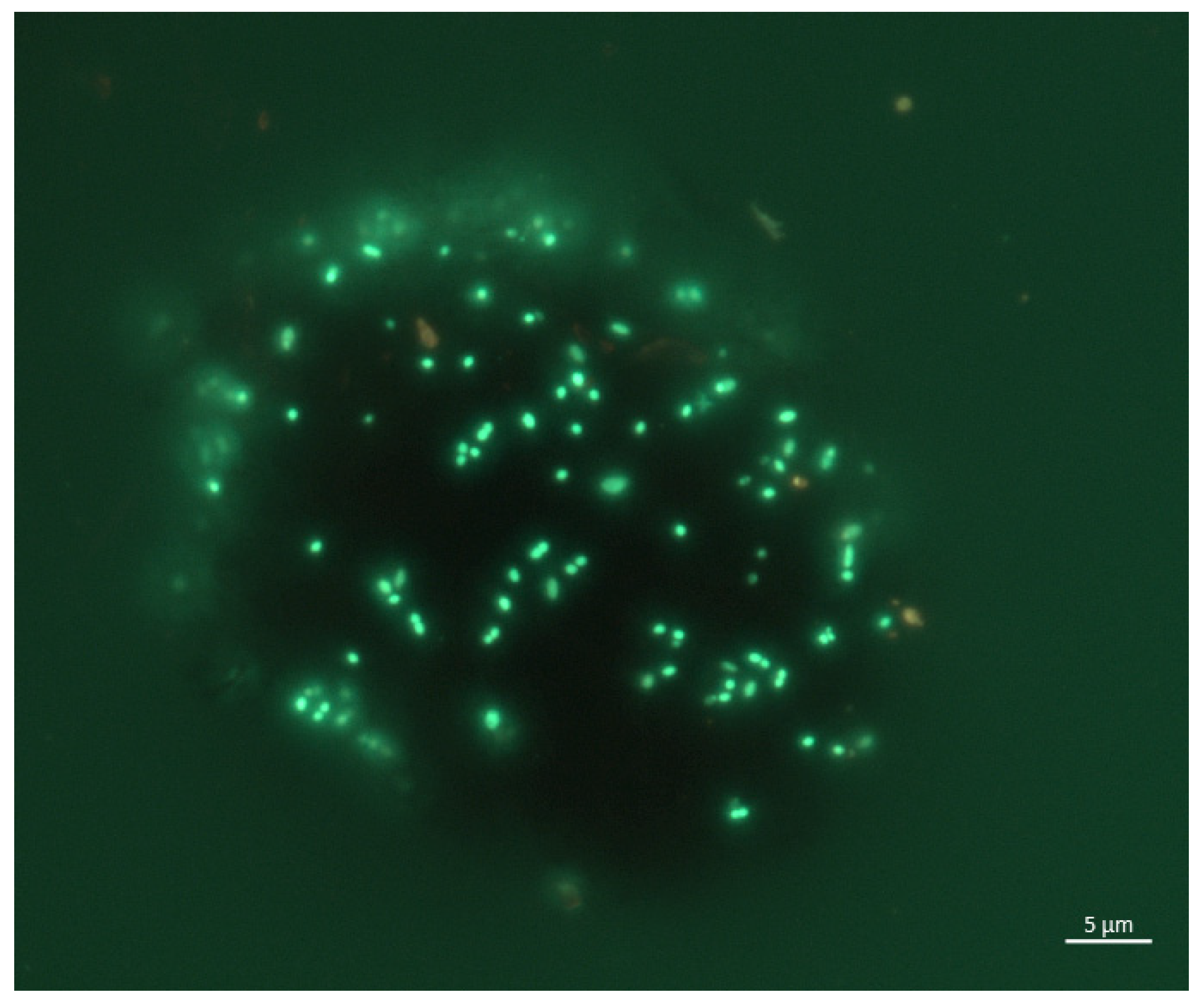 Biology 14 01716 g007