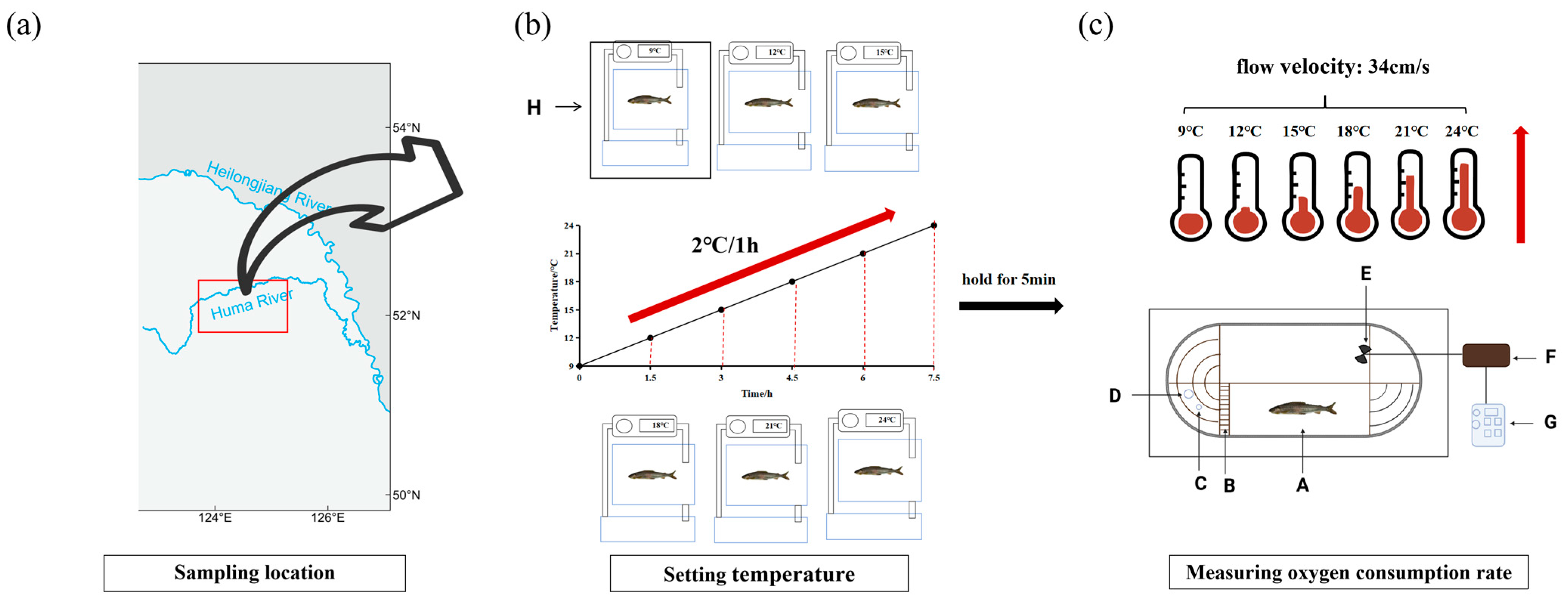 Biology 14 01718 g001