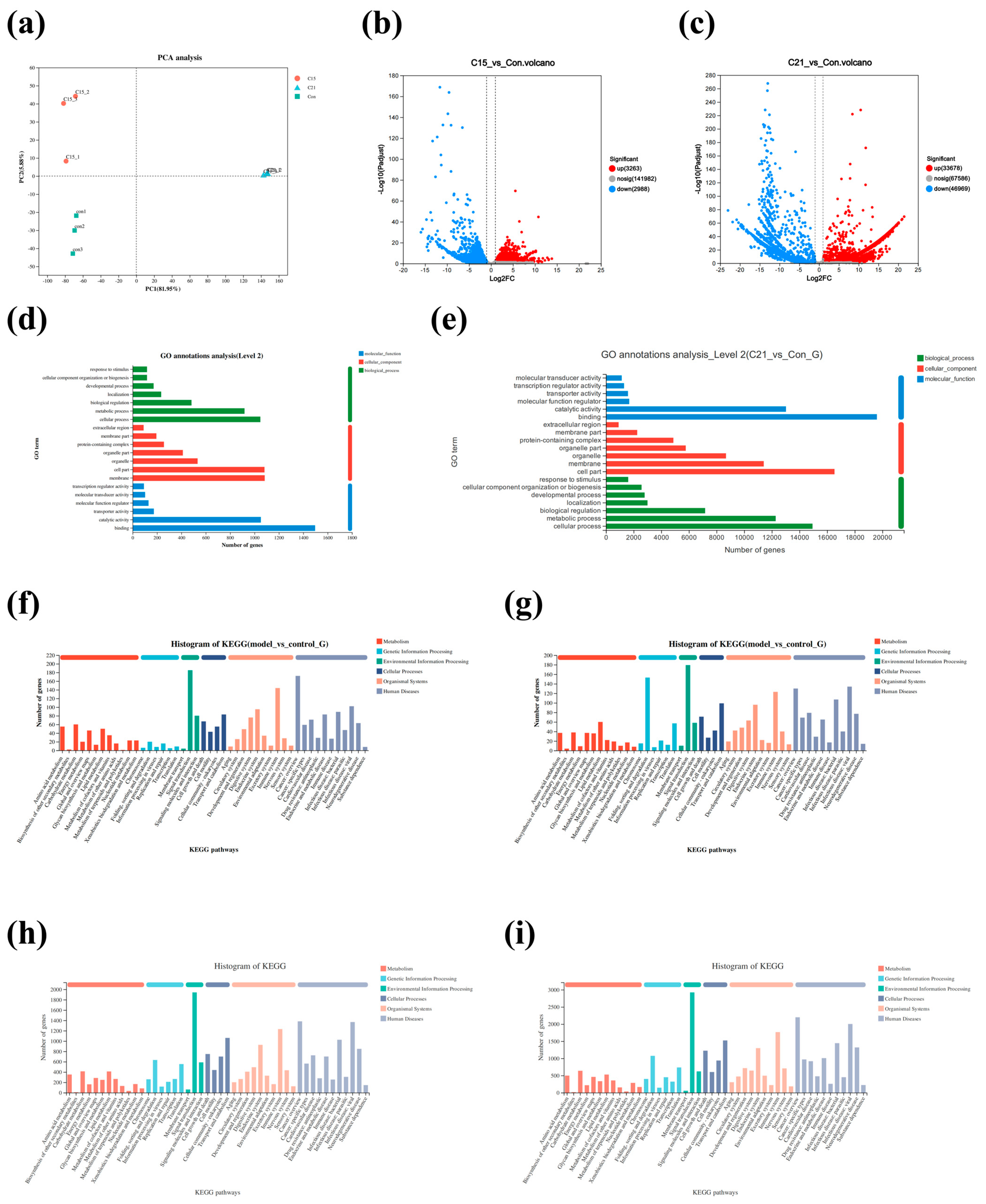 Biology 14 01718 g004