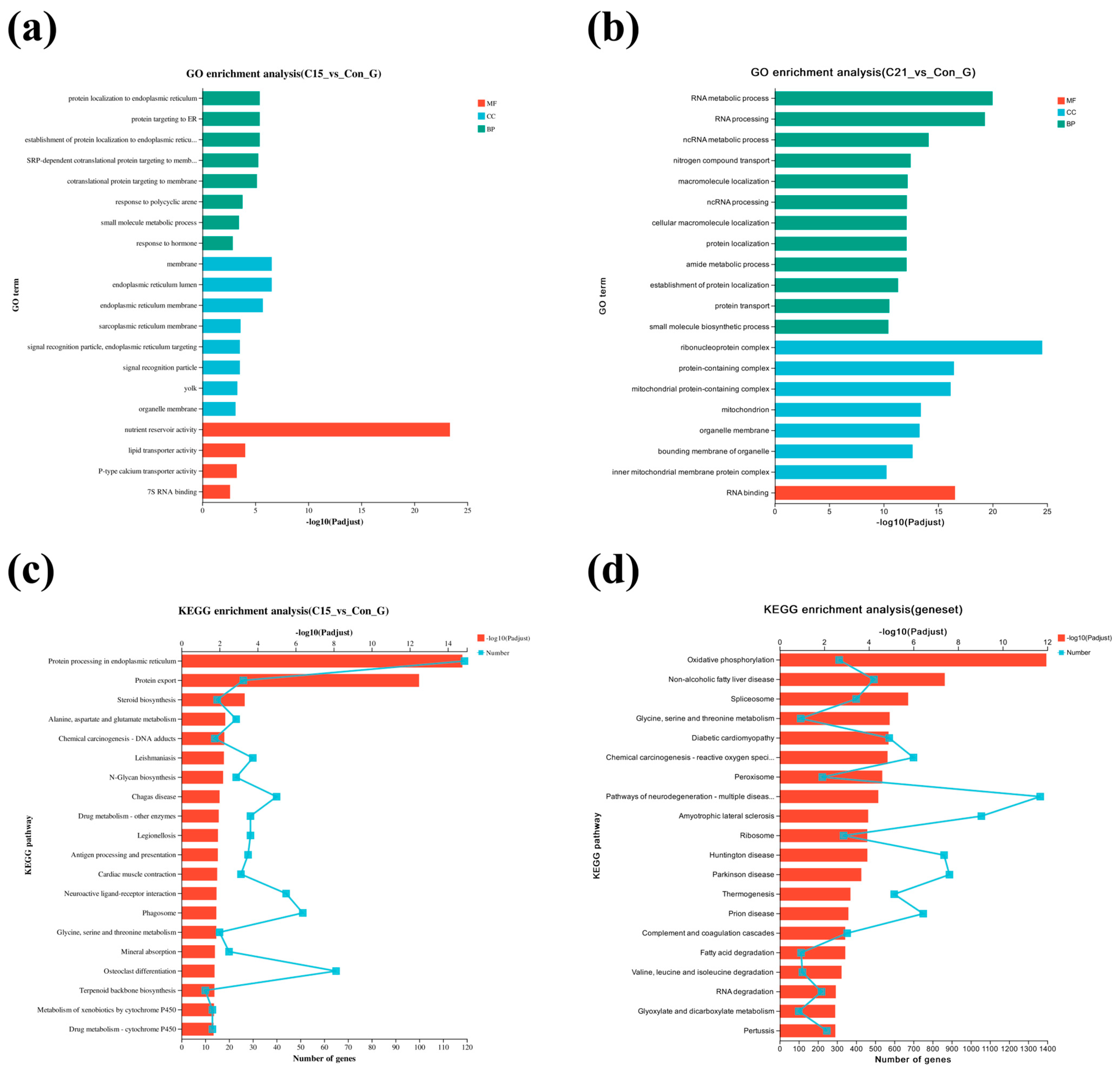 Biology 14 01718 g005