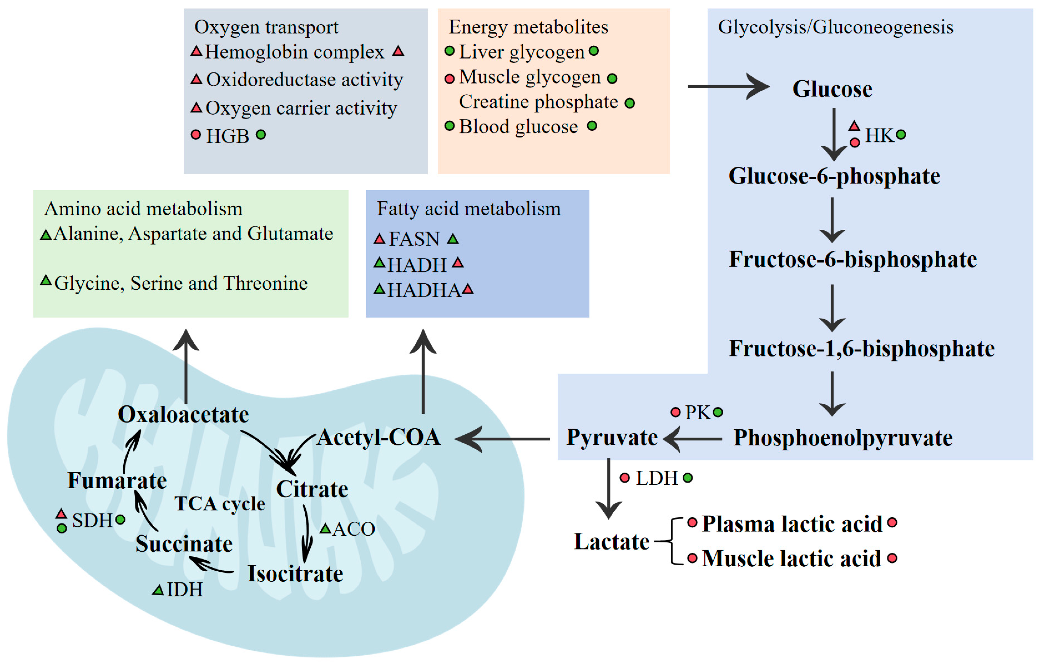 Biology 14 01718 g006