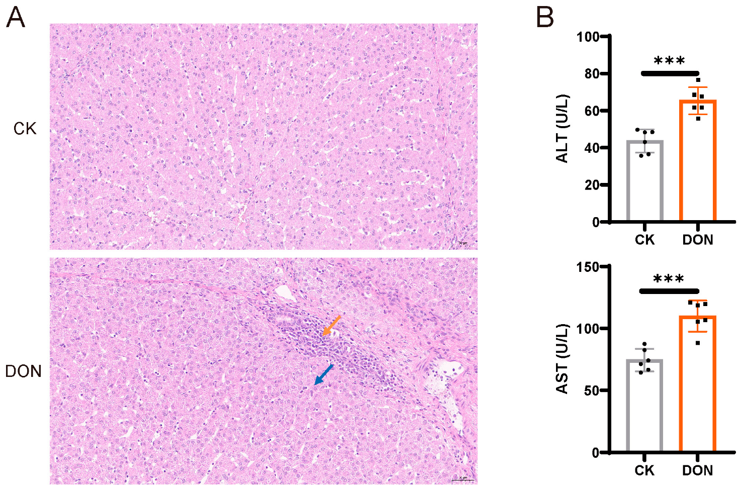 Biology 14 01721 g001
