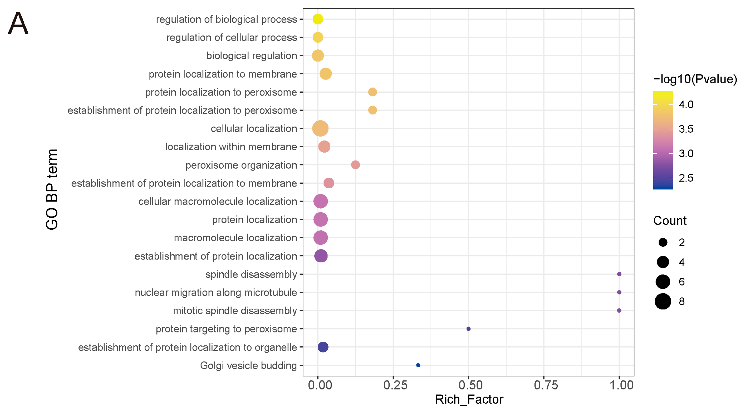 Biology 14 01721 g004a