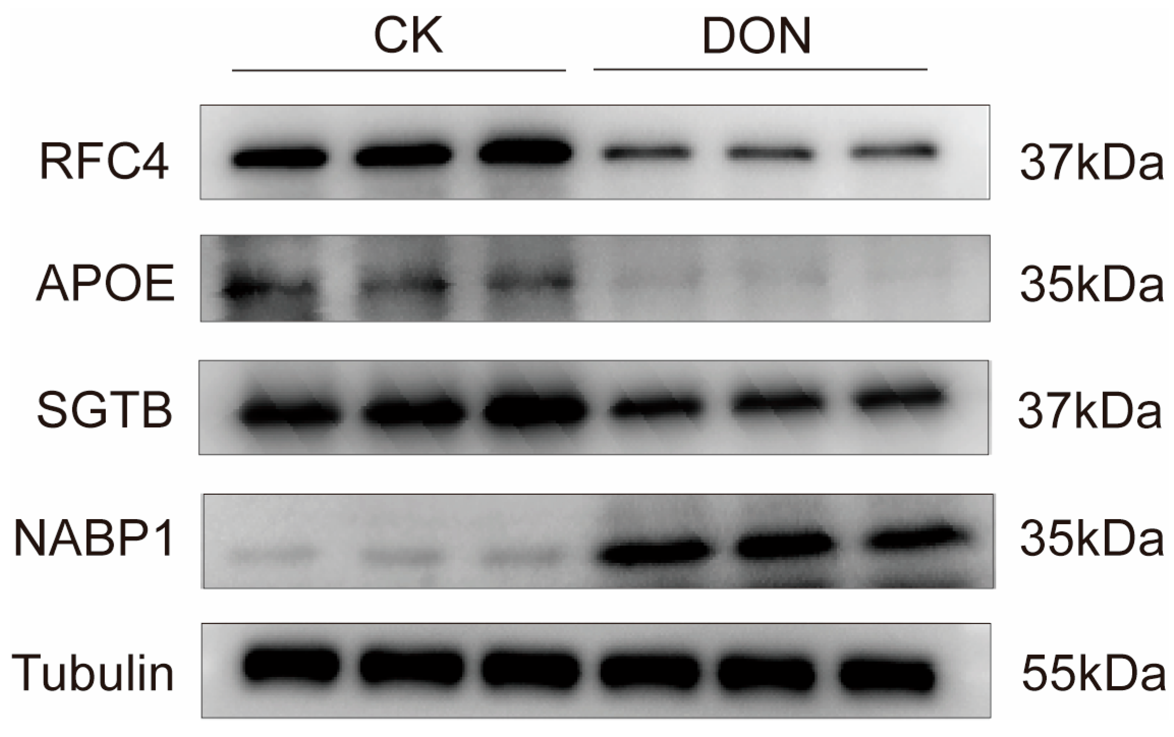 Biology 14 01721 g007