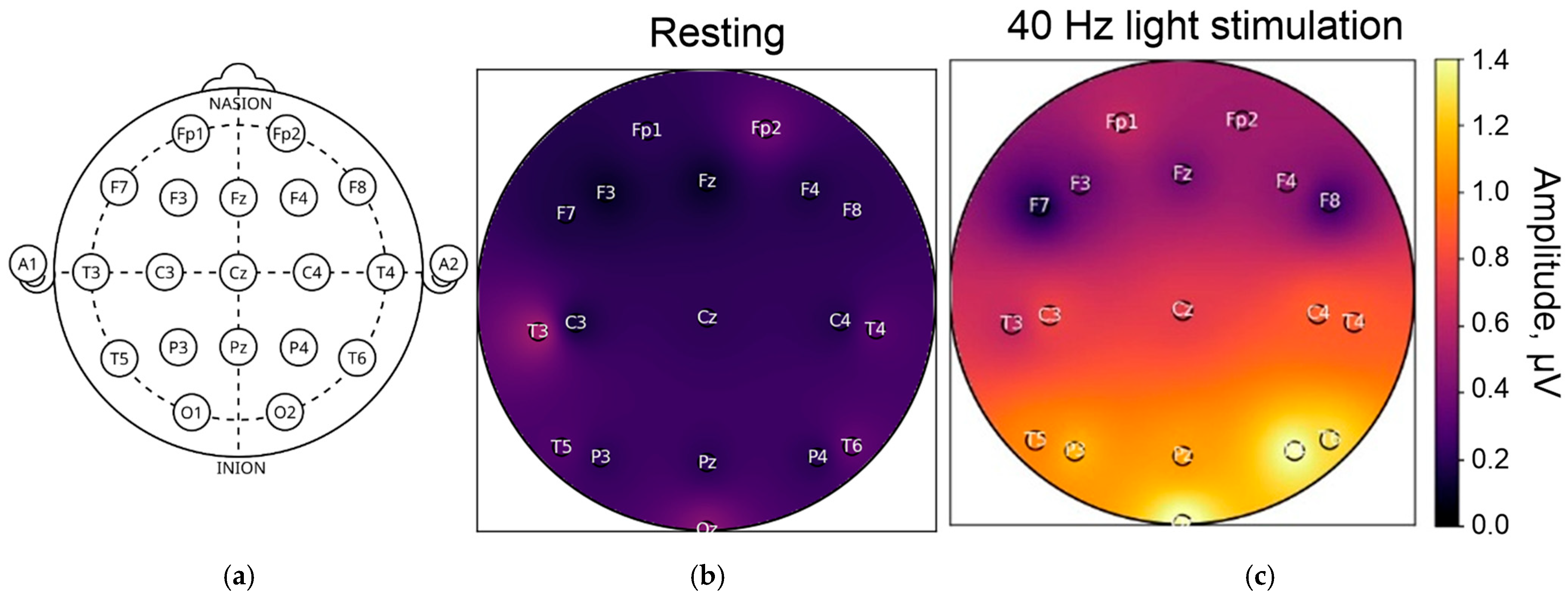 Biology 14 01722 g002 Biology 14 01722 g002