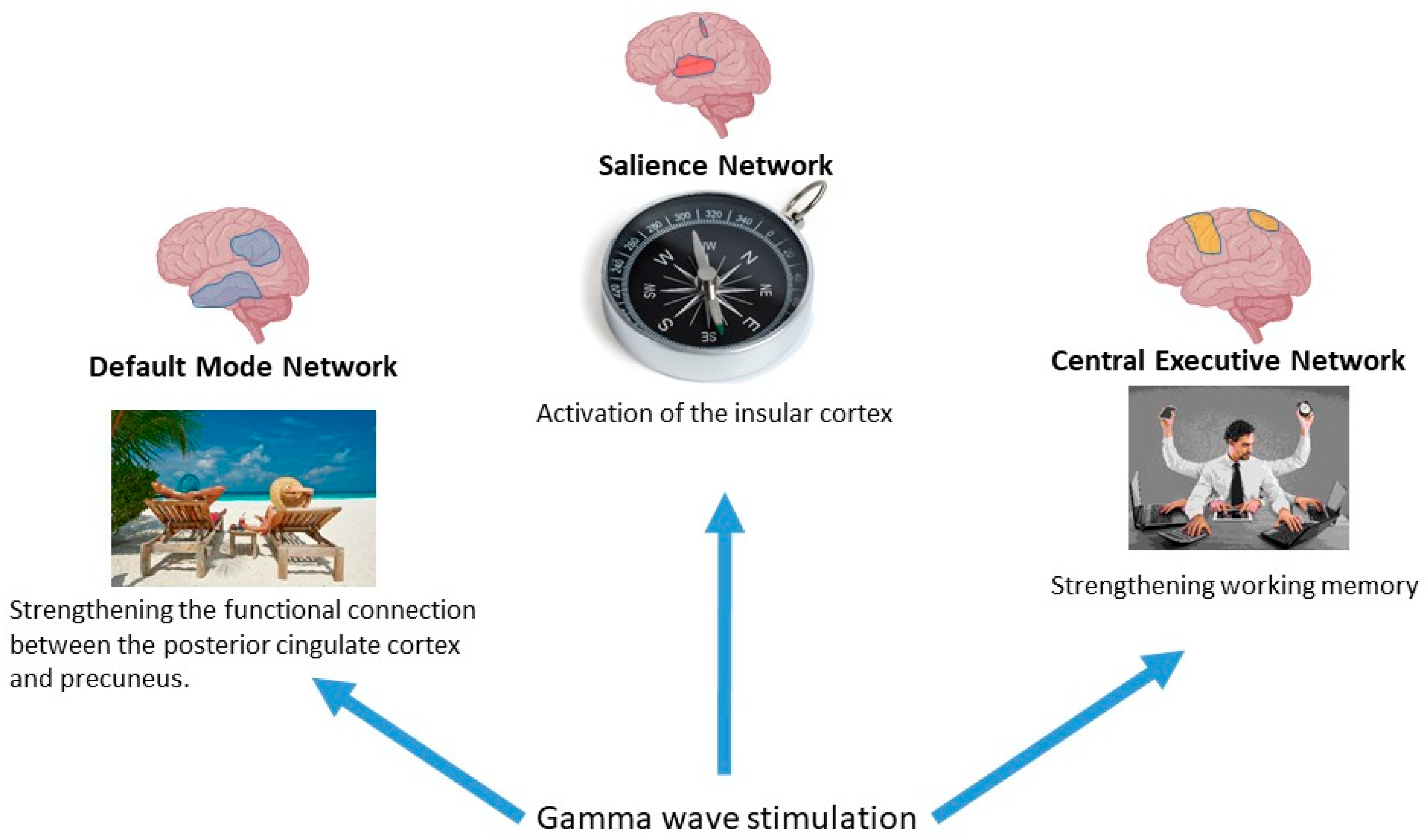 Biology 14 01722 g014 Biology 14 01722 g014