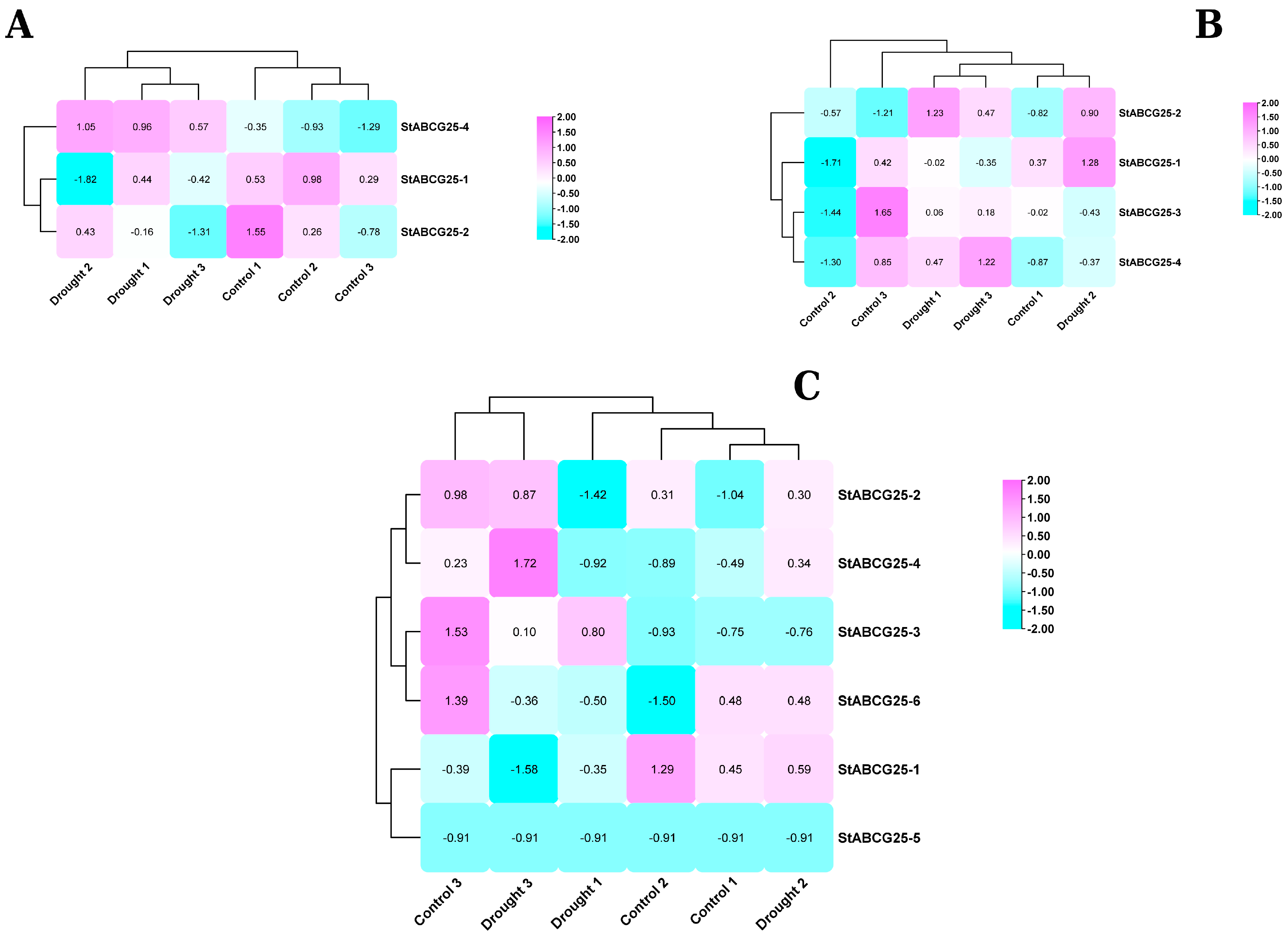 Biology 14 01723 g001