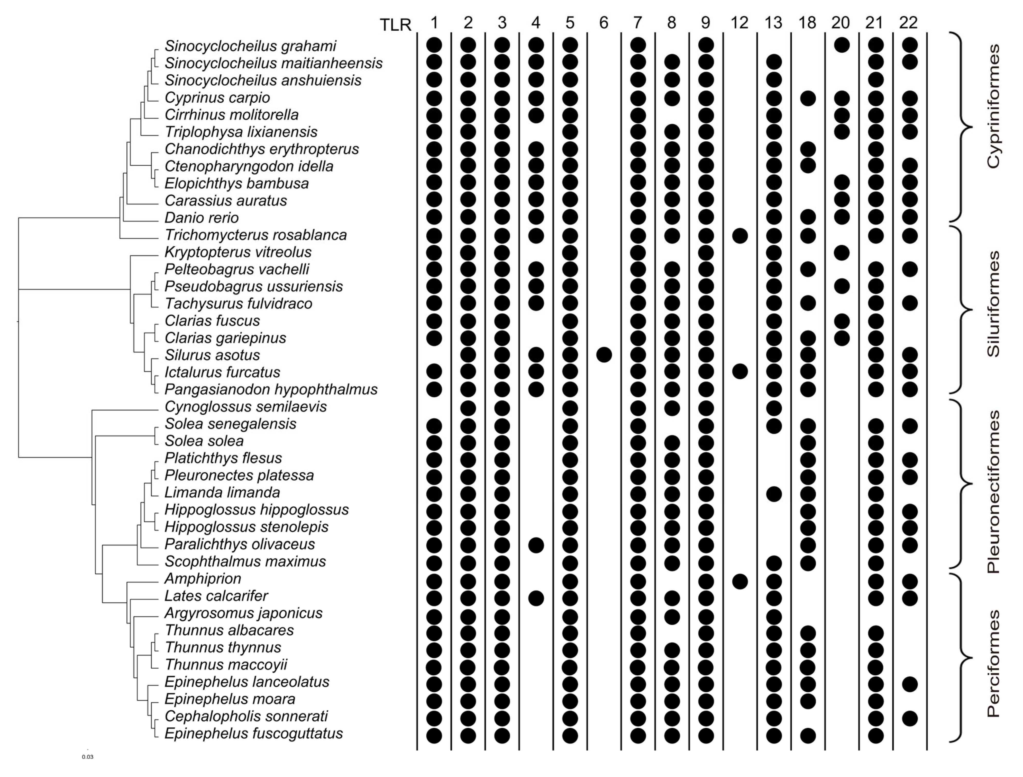 Biology 14 01724 g001
