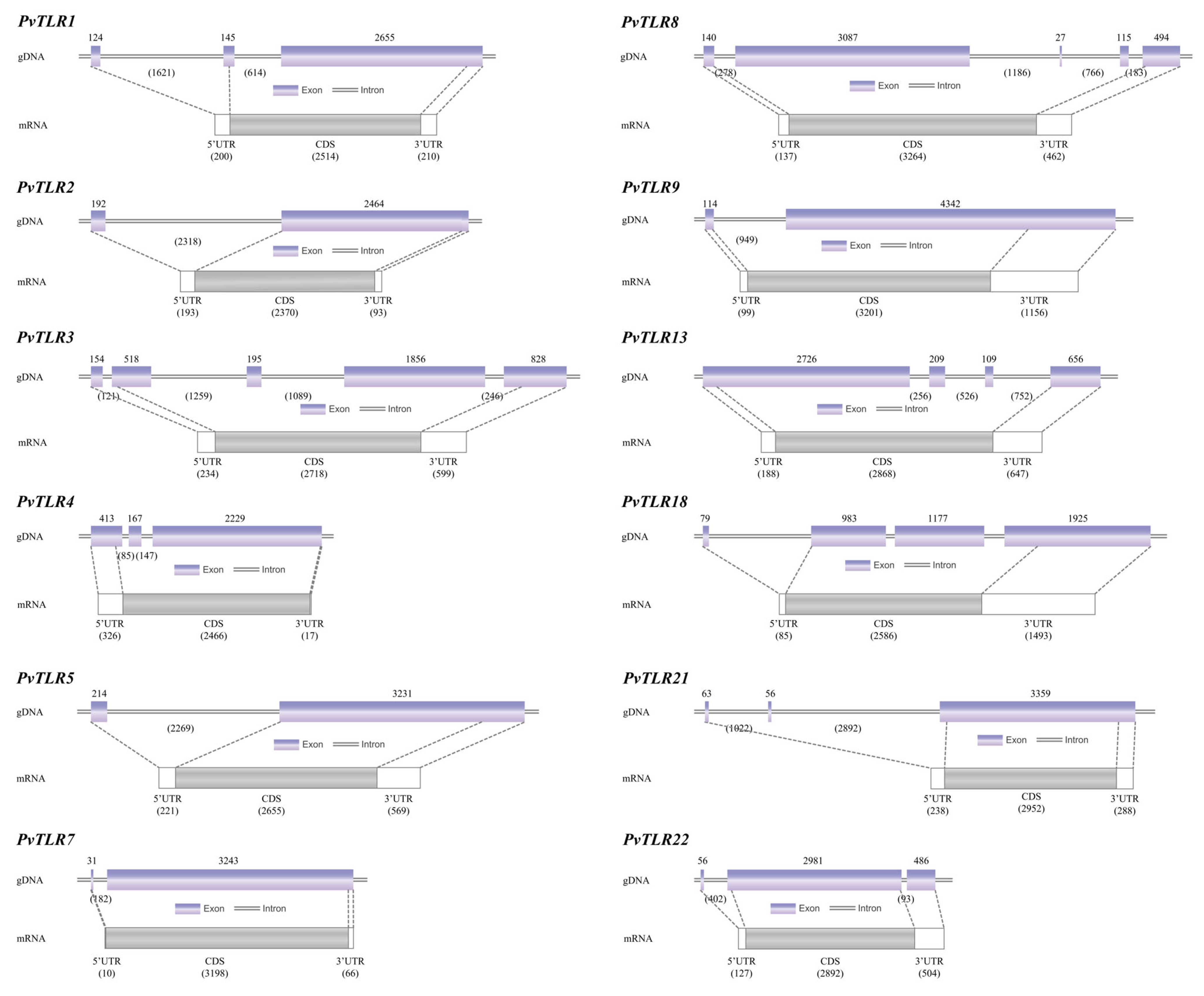 Biology 14 01724 g002