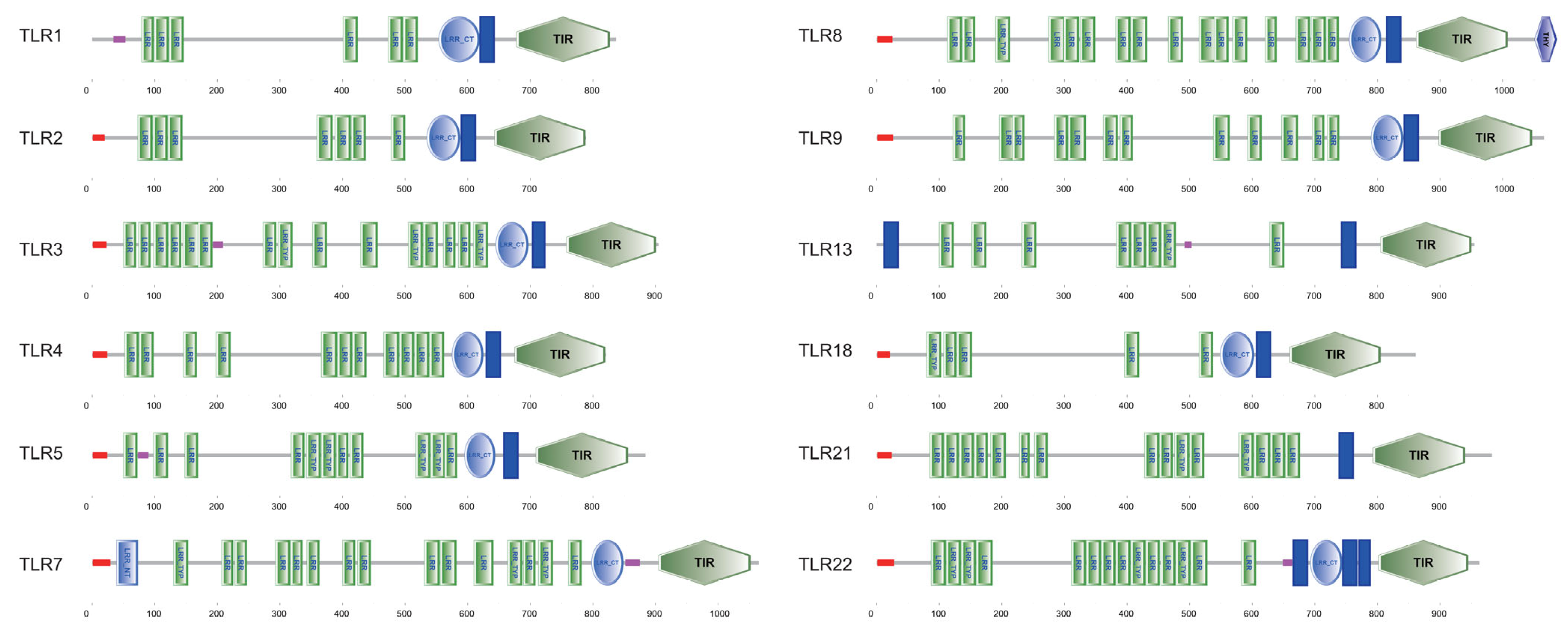 Biology 14 01724 g003