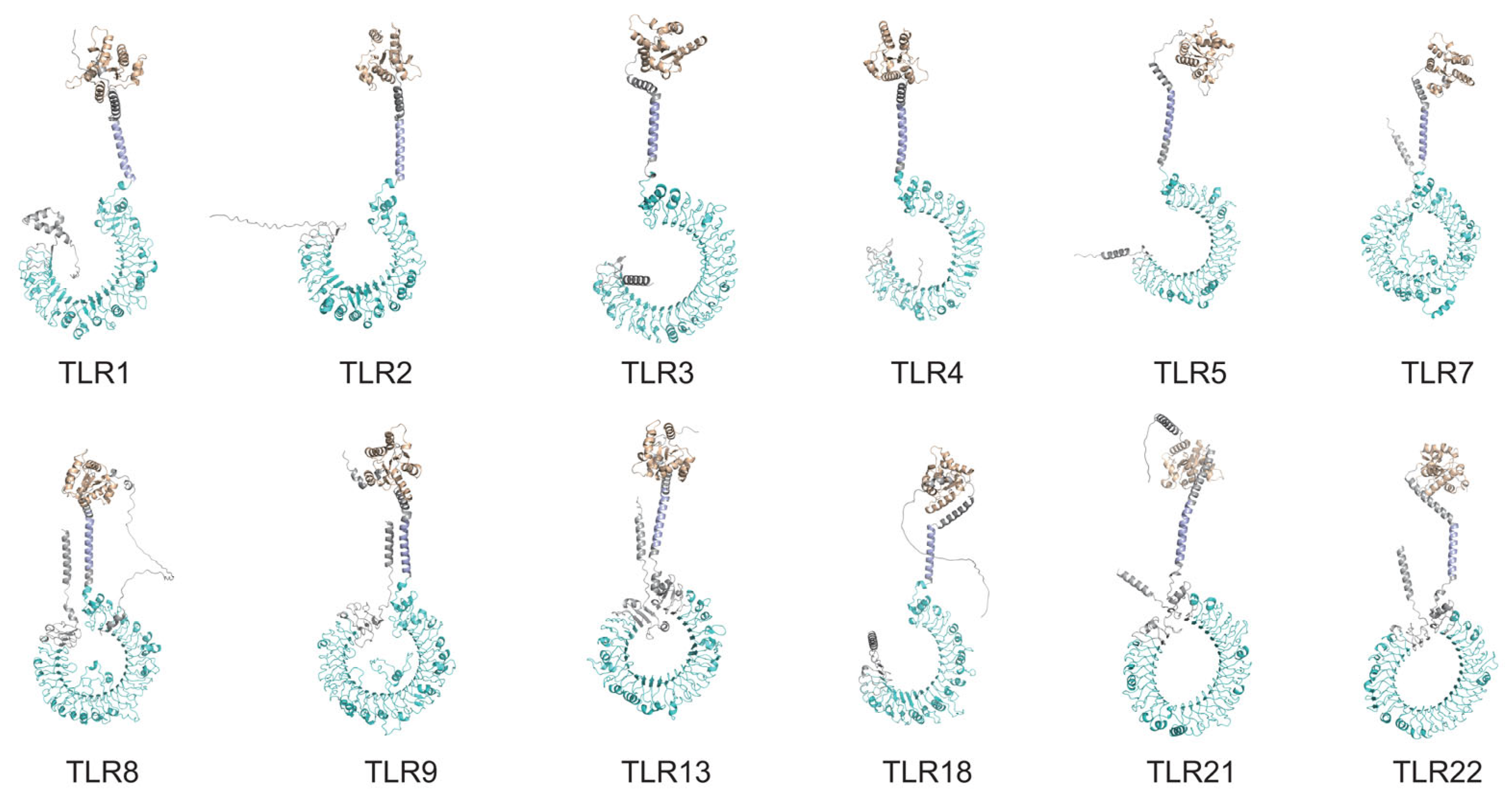Biology 14 01724 g004