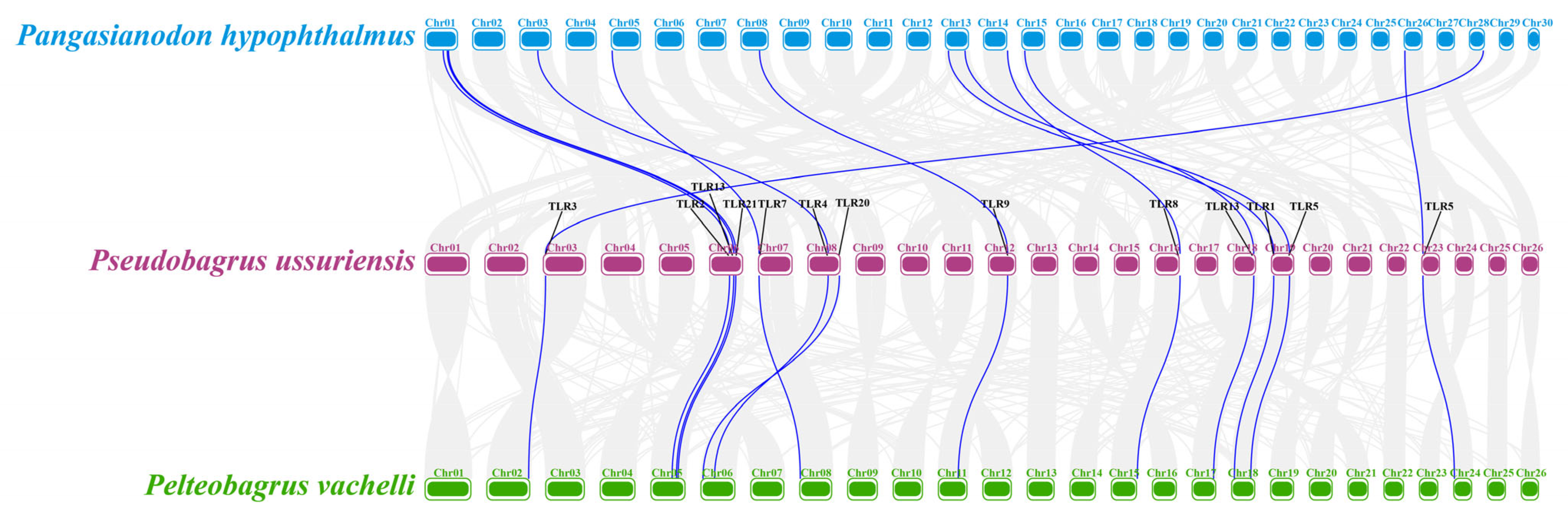 Biology 14 01724 g005