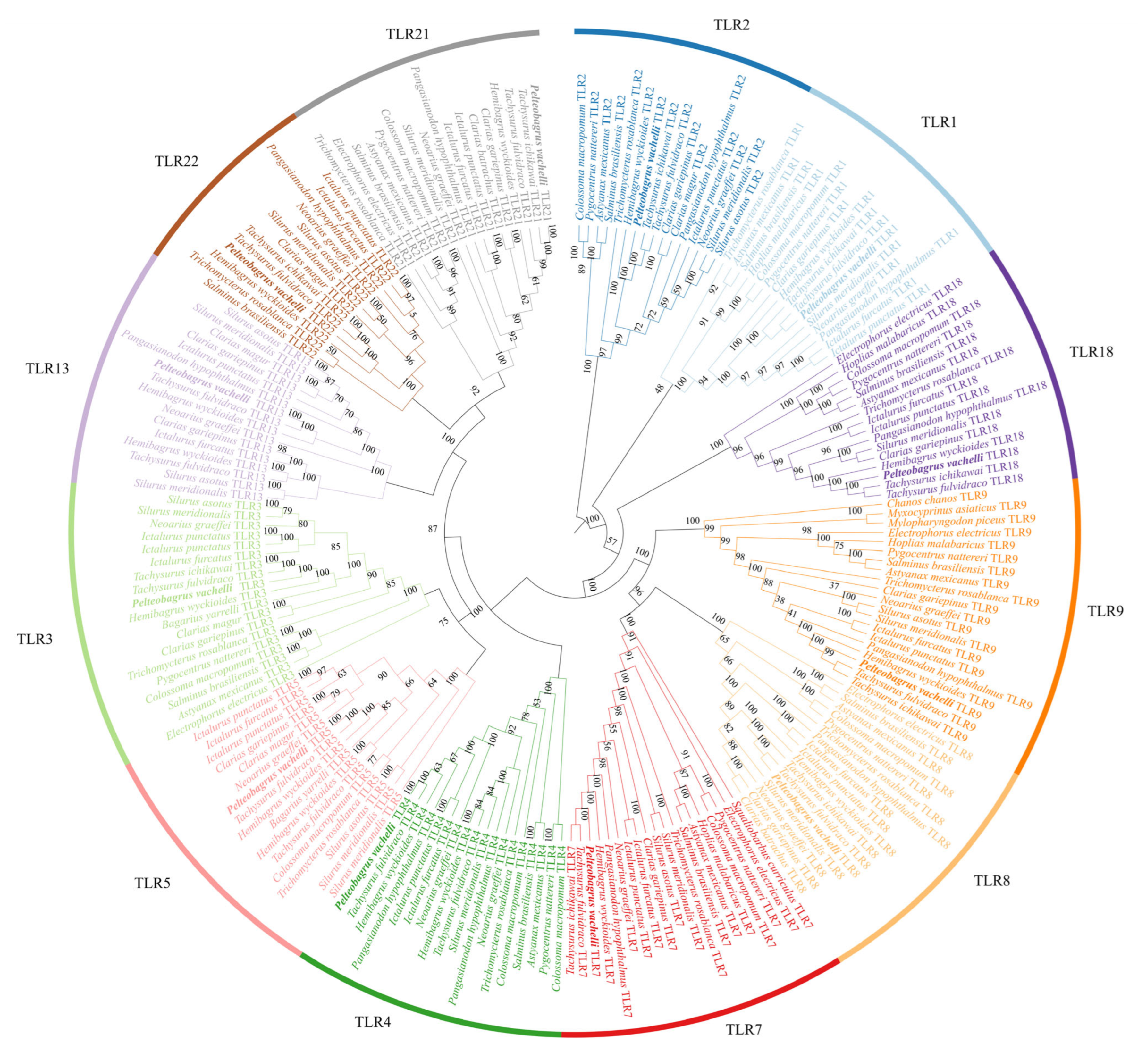 Biology 14 01724 g006