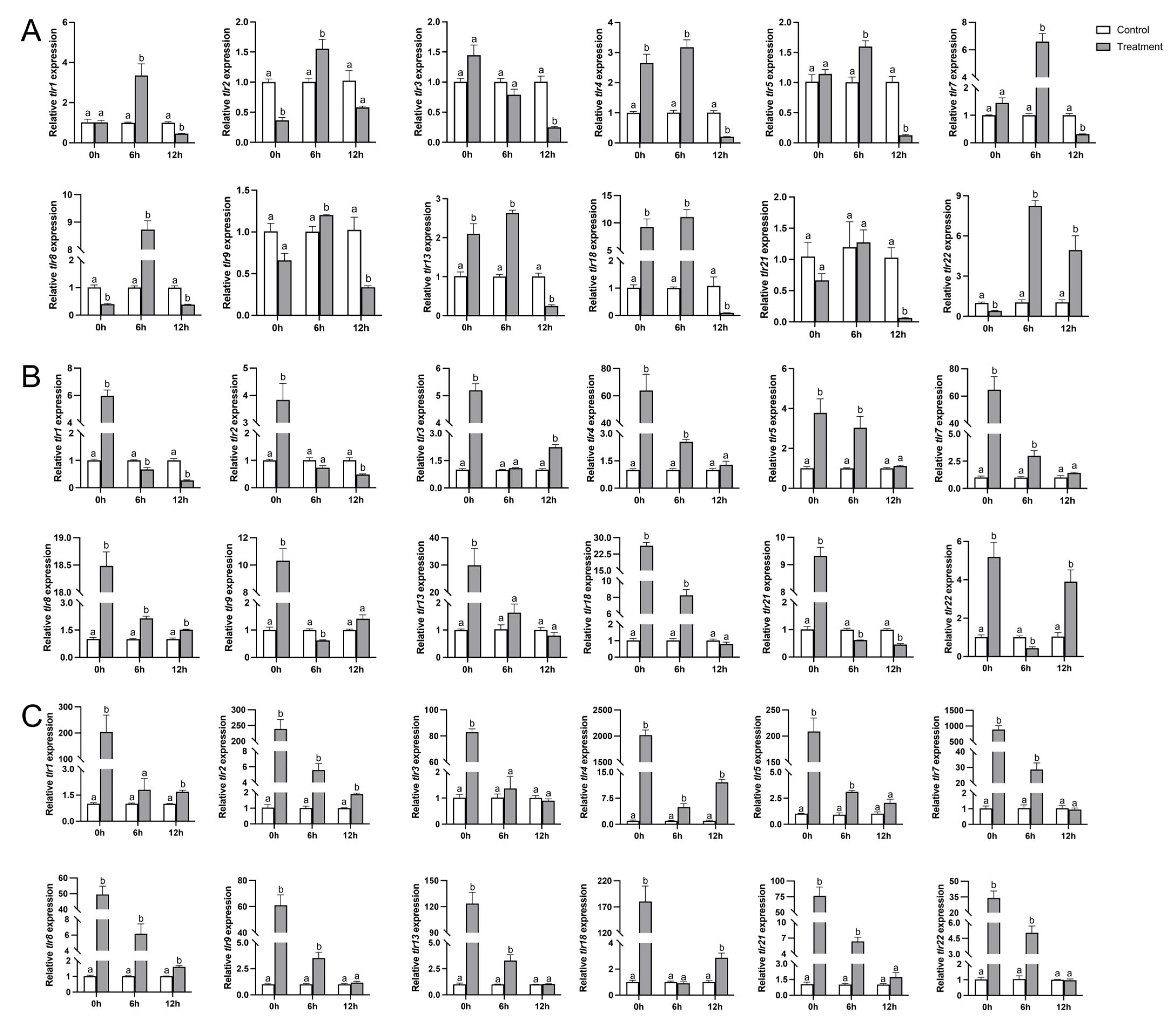 Biology 14 01724 g007