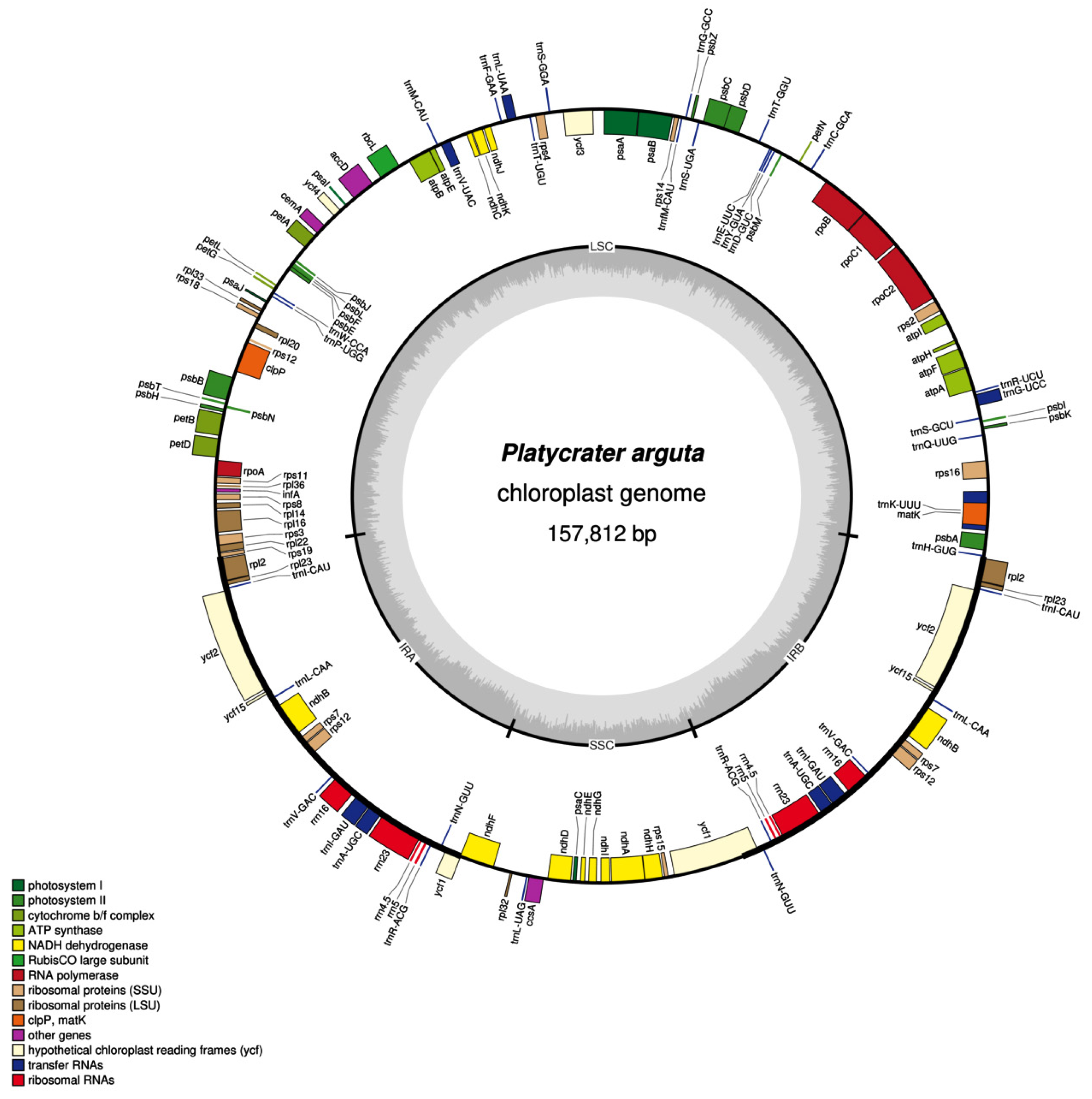Biology 14 01726 g001