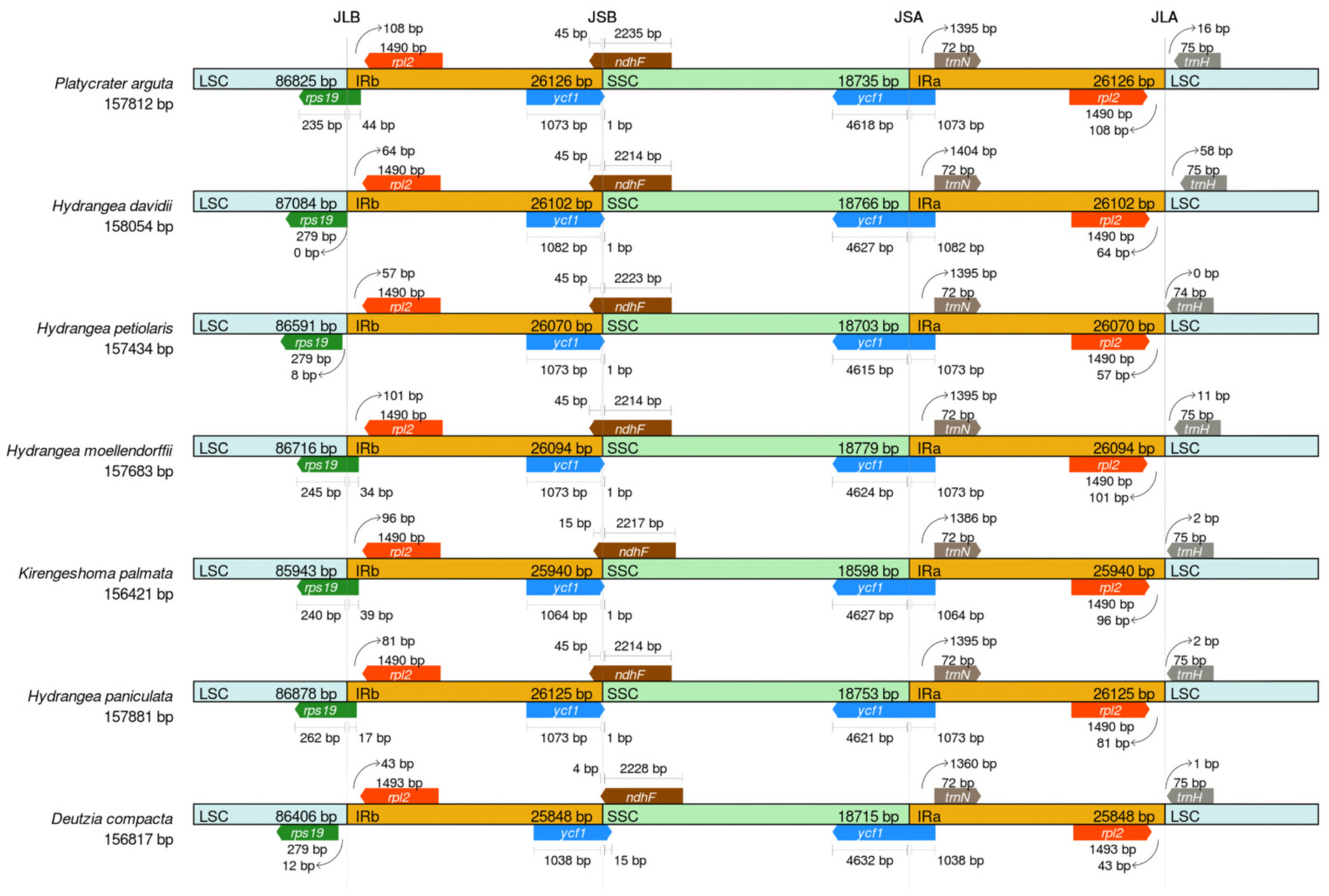 Biology 14 01726 g006