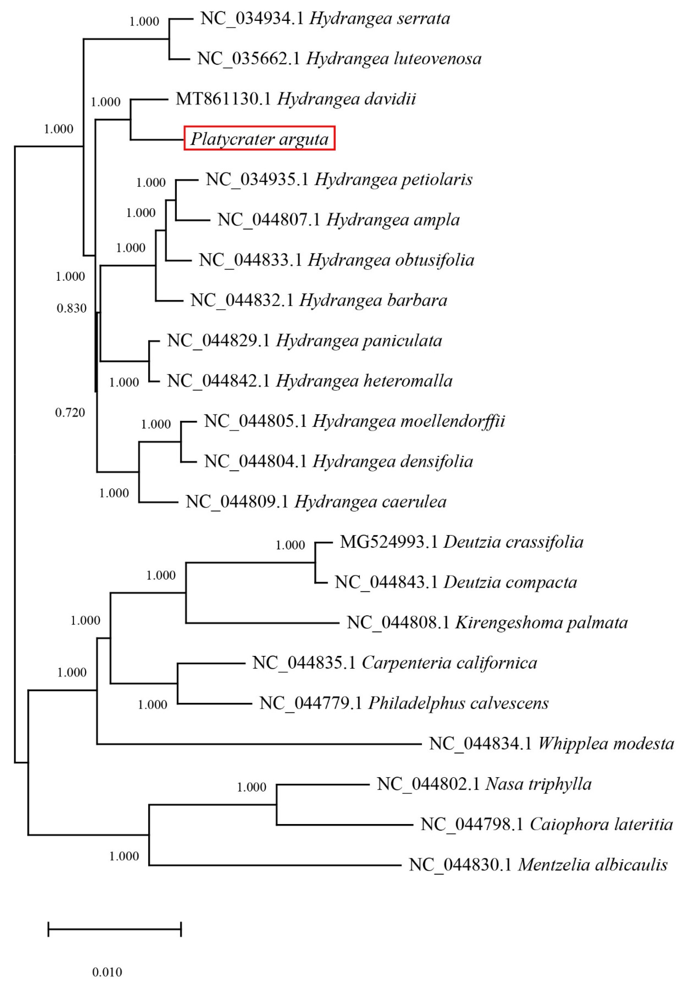 Biology 14 01726 g007
