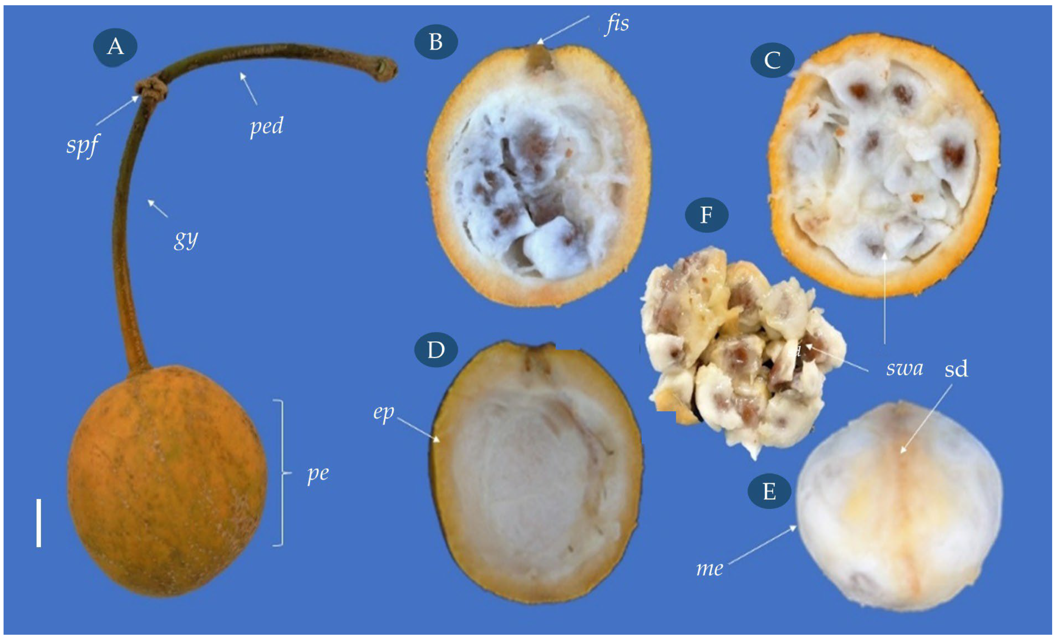 Biology 14 01729 g003