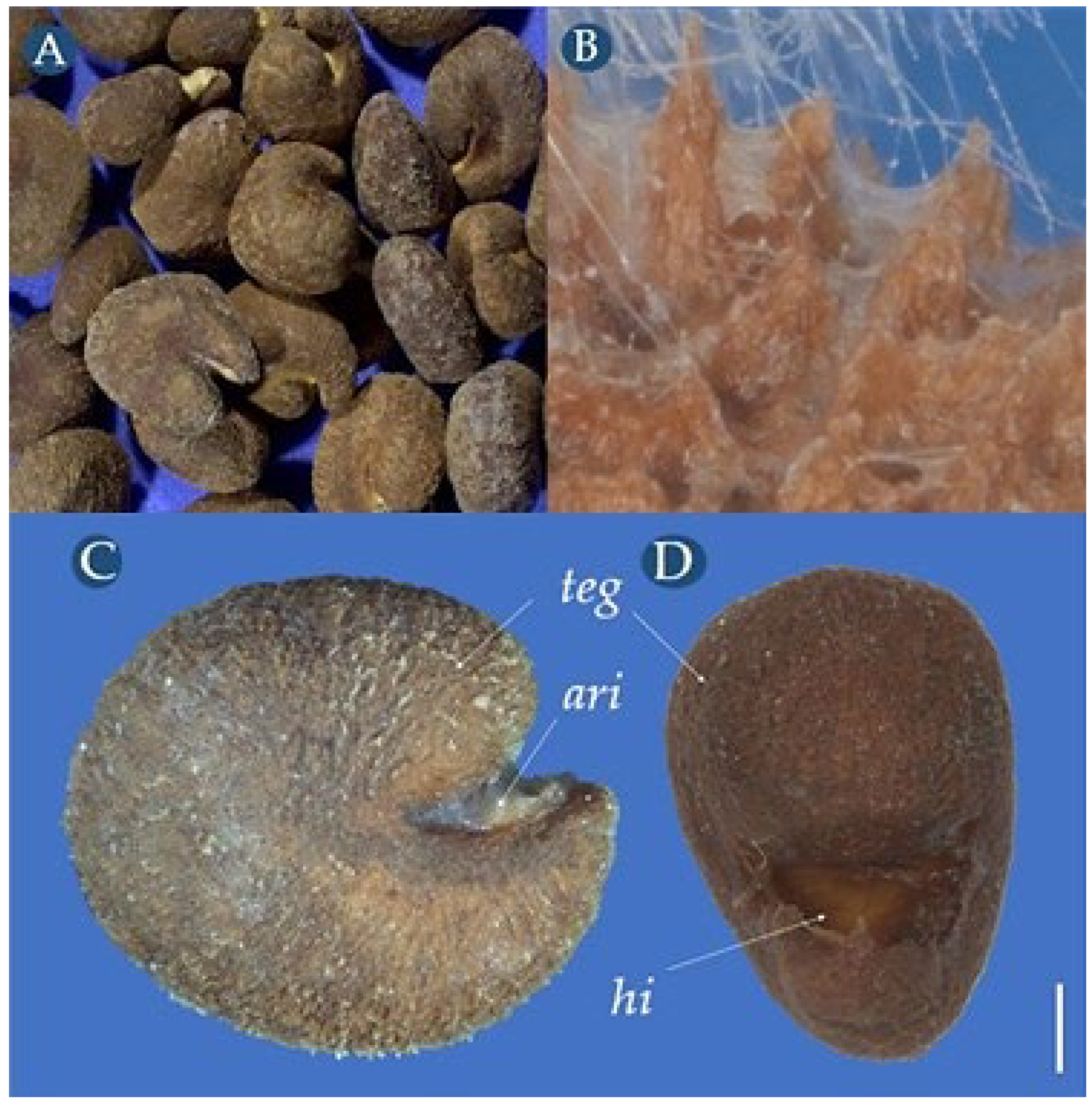 Biology 14 01729 g004