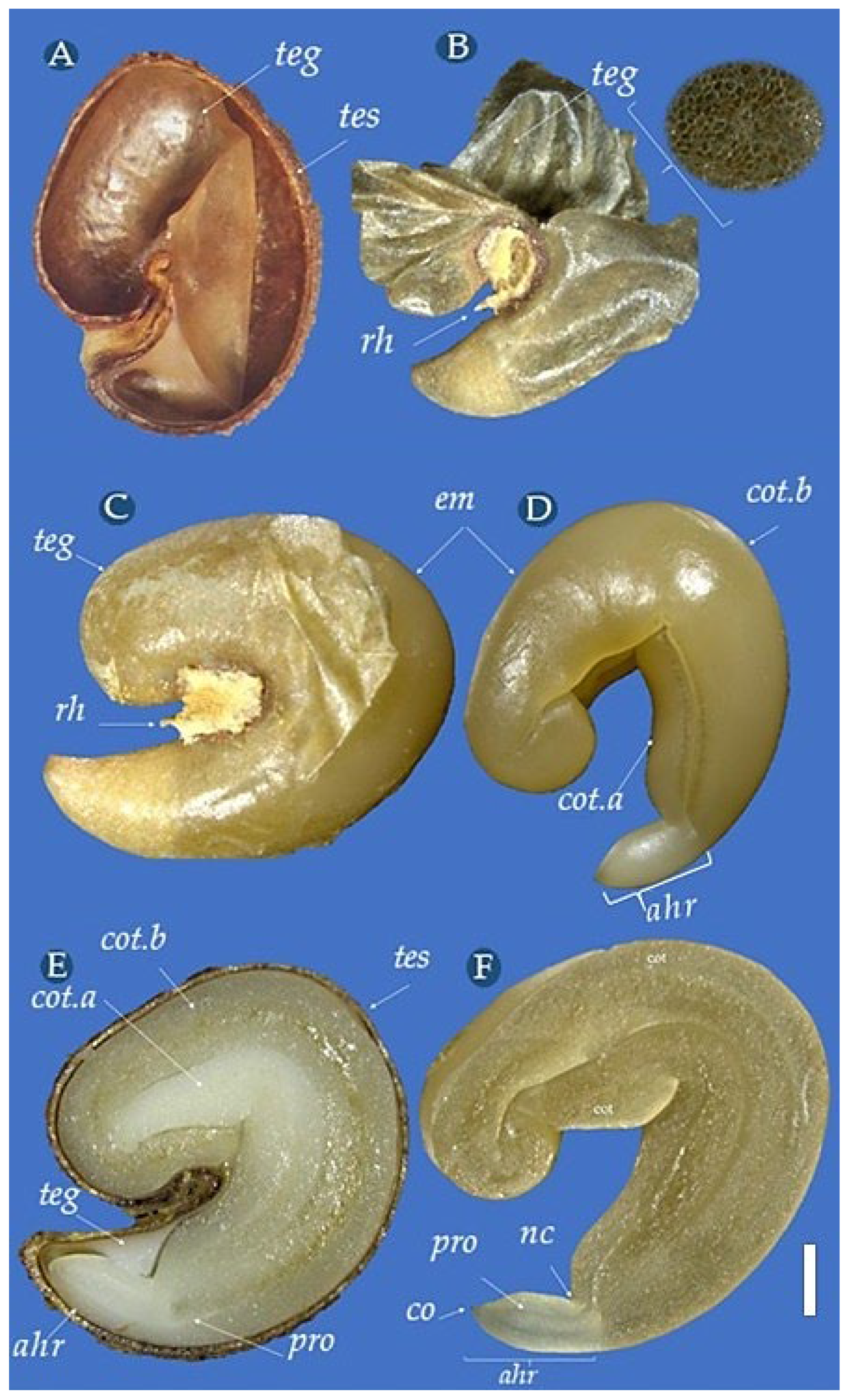 Biology 14 01729 g005