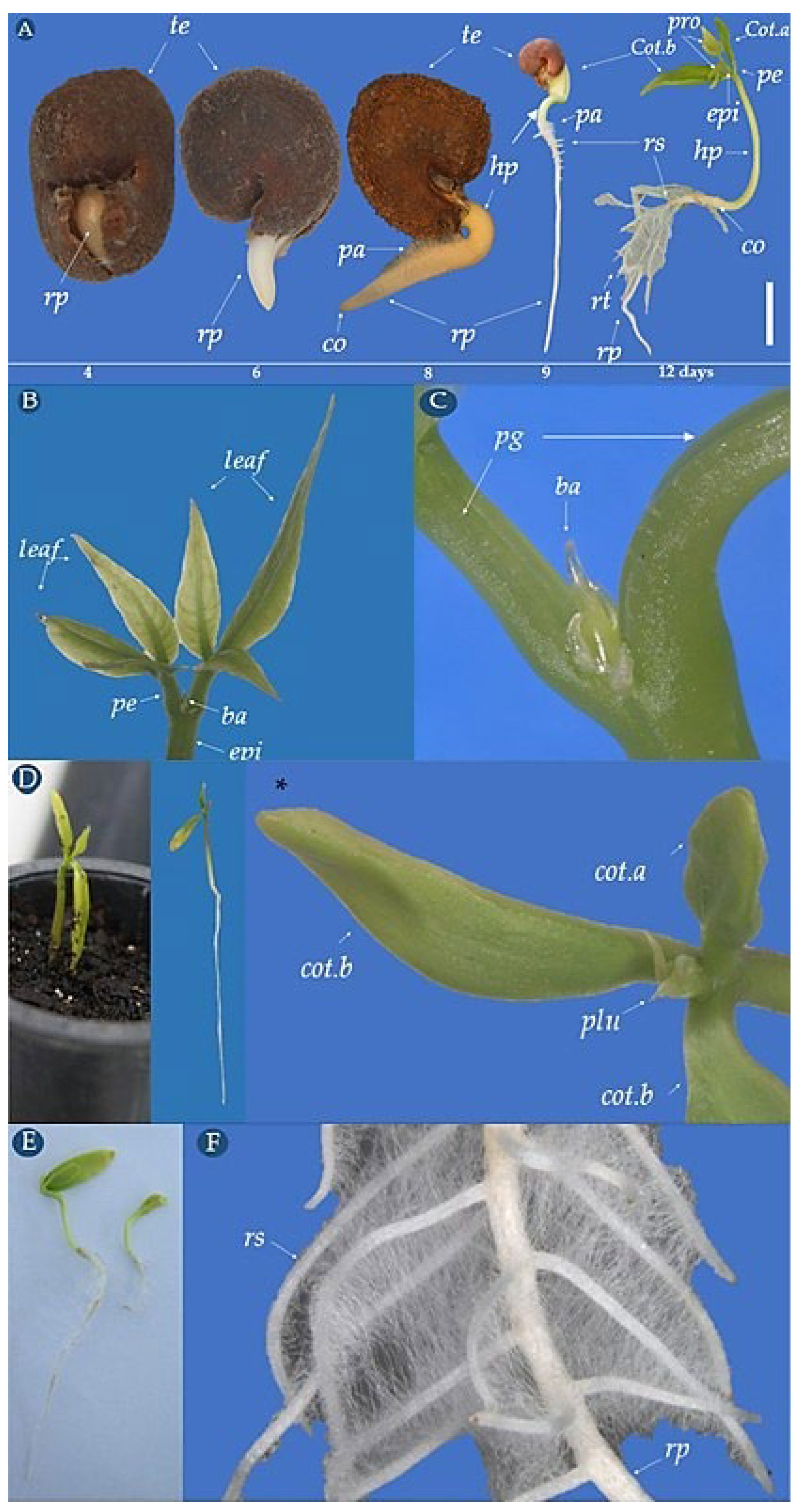 Biology 14 01729 g008