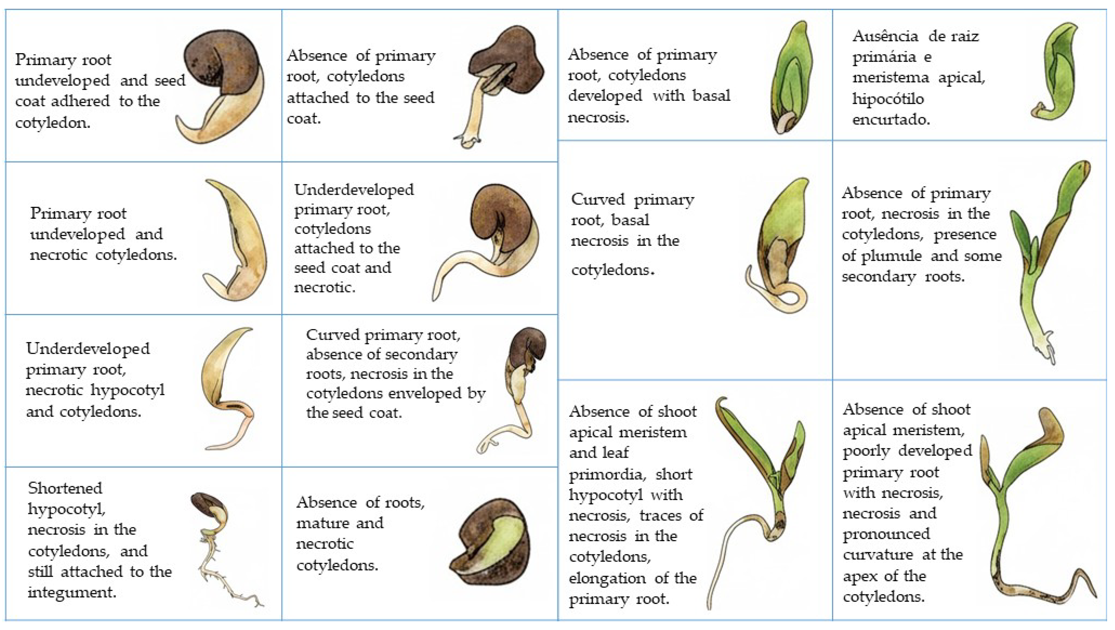 Biology 14 01729 g009
