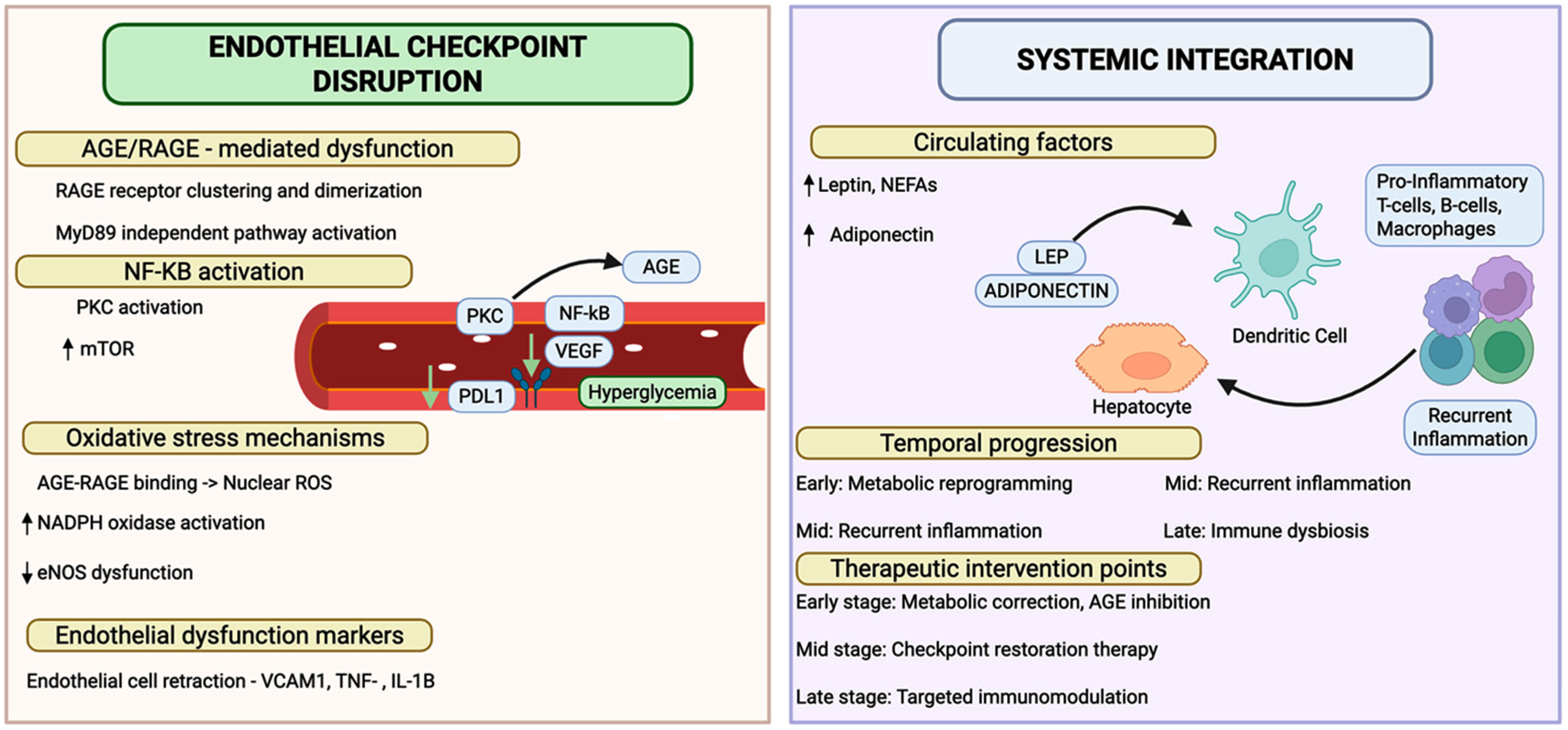 Biology 14 01731 g002