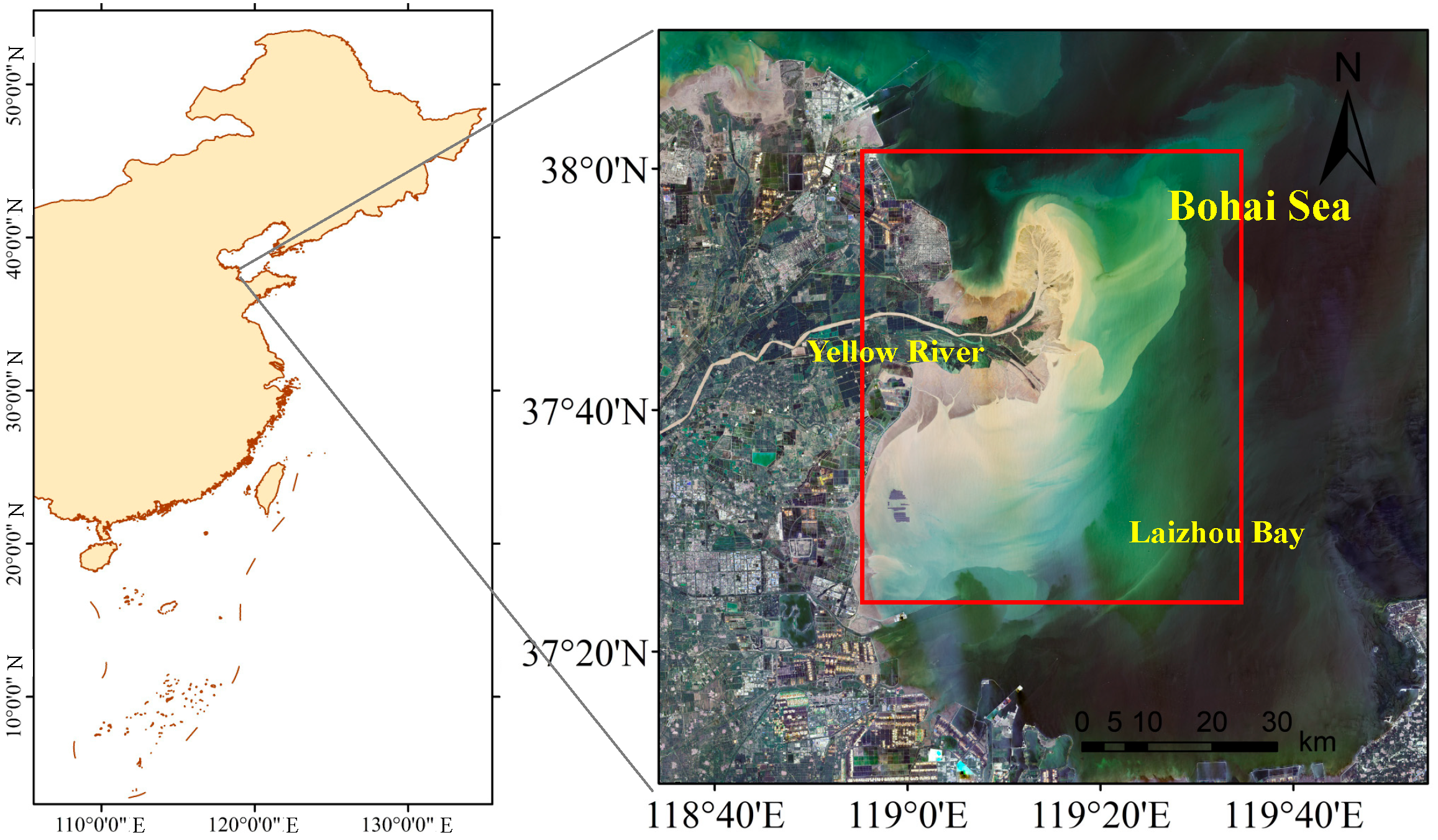 Biology 14 01732 g001
