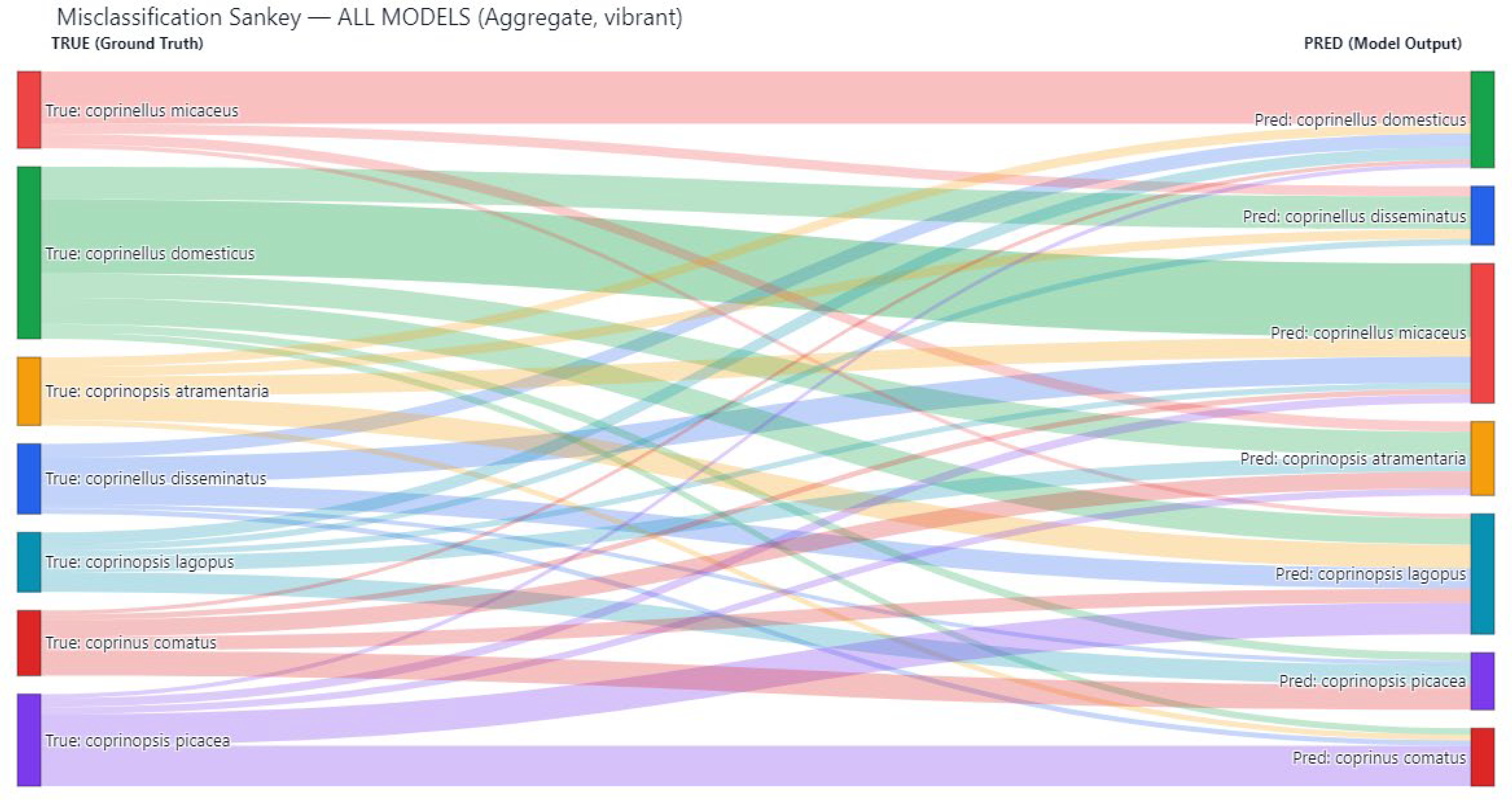 Biology 14 01733 g004