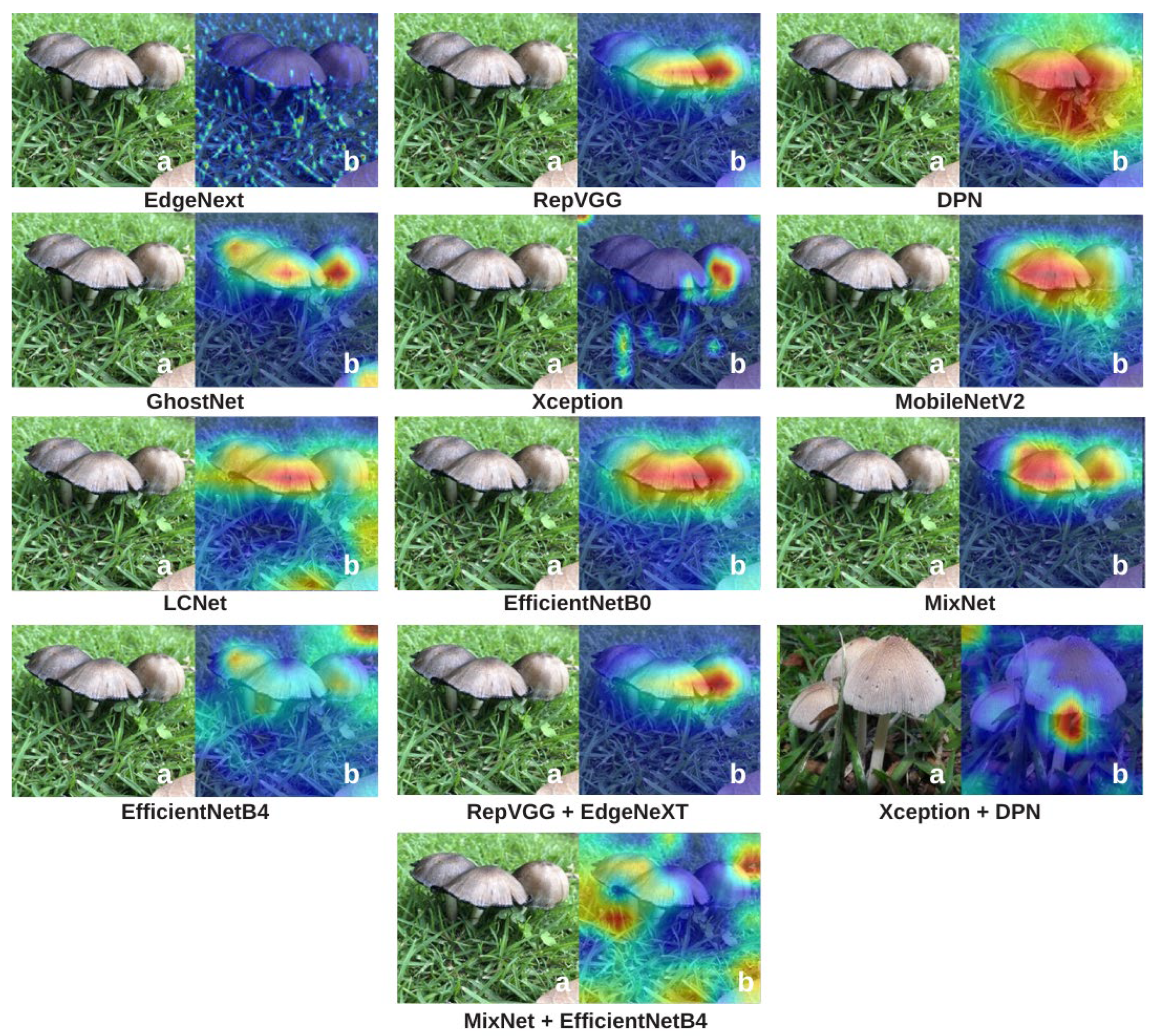 Biology 14 01733 g009