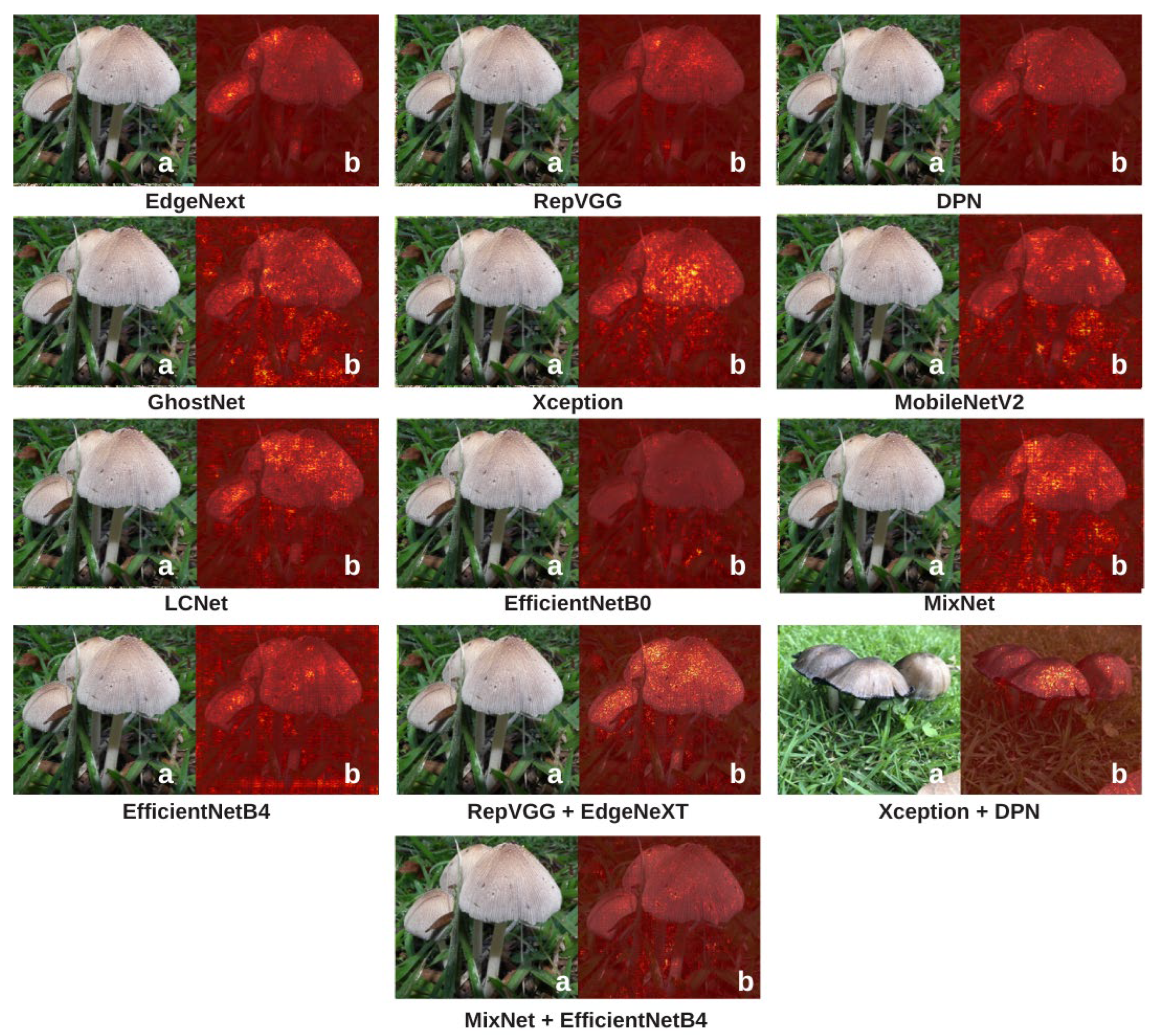 Biology 14 01733 g010