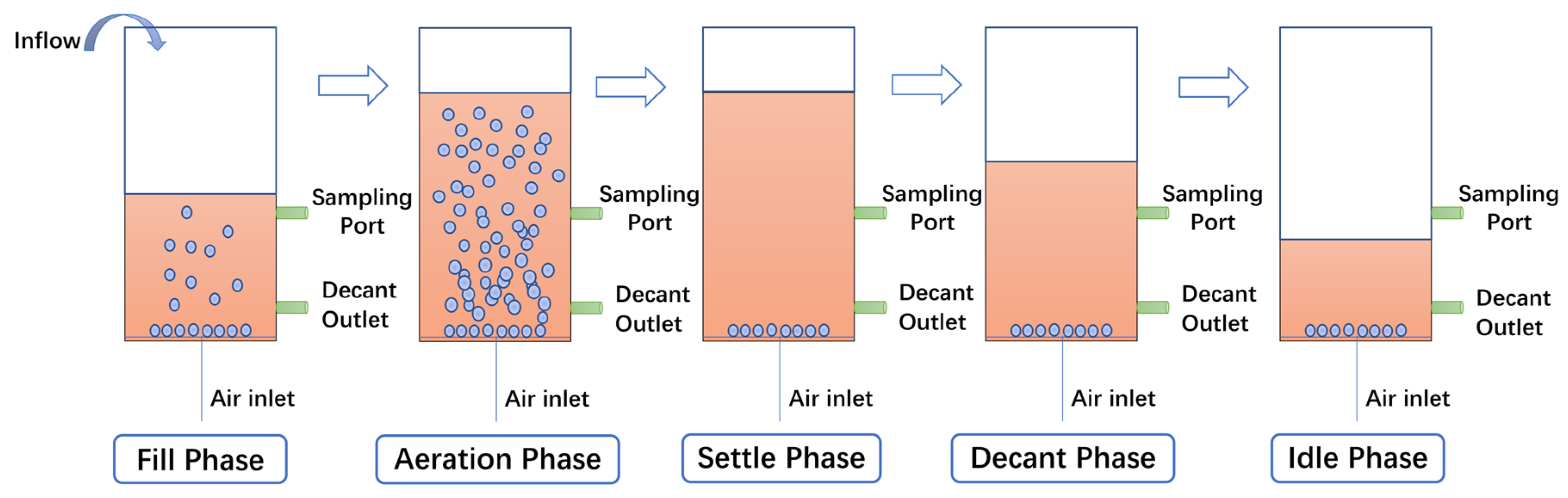 Biology 14 01734 g001 Biology 14 01734 g001