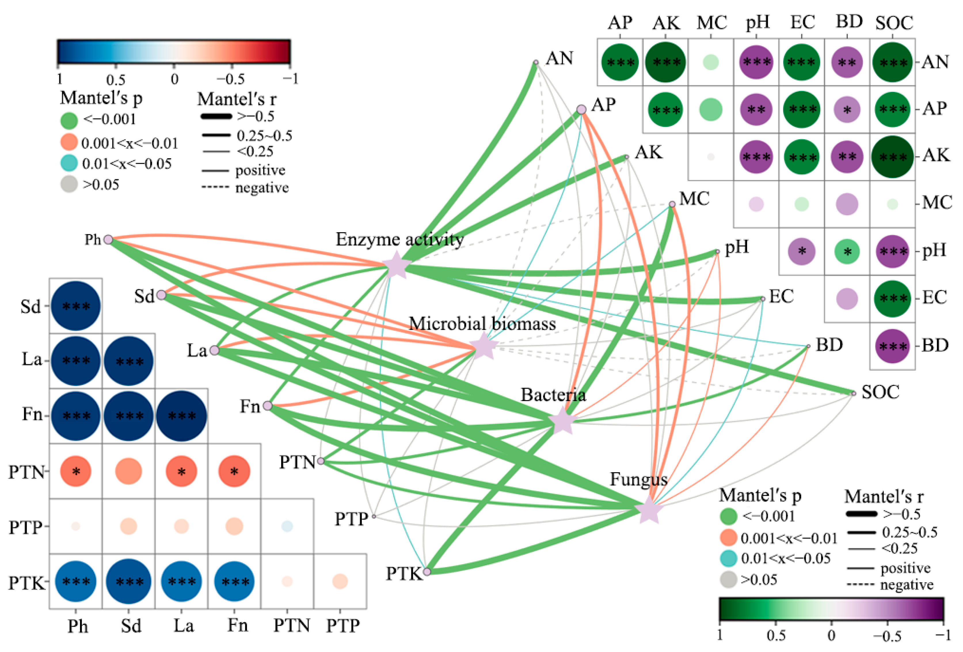 Biology 14 01735 g012 Biology 14 01735 g012