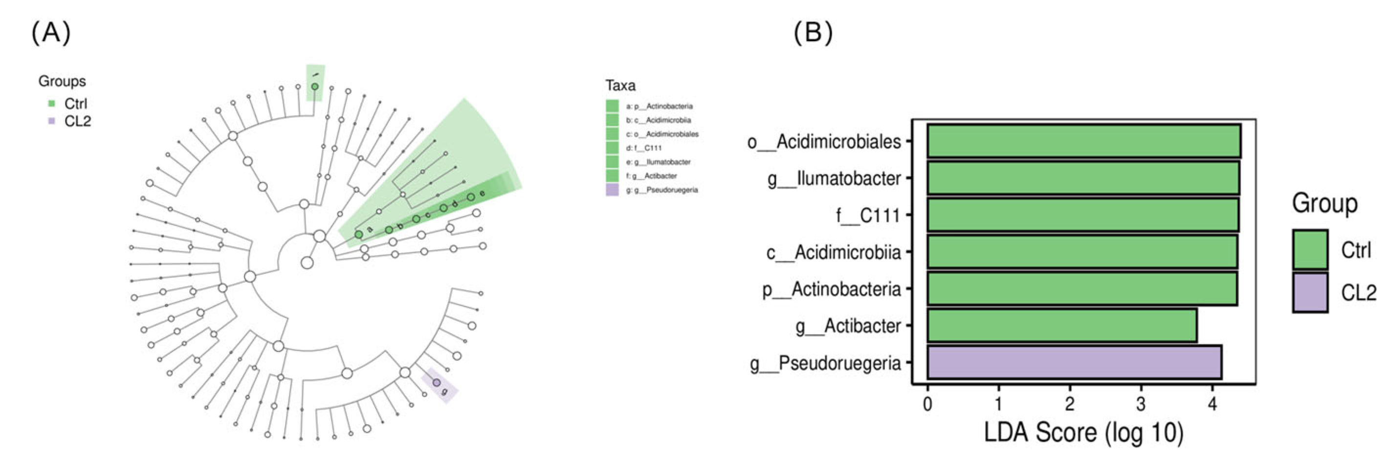 Biology 14 01738 g011 Biology 14 01738 g011