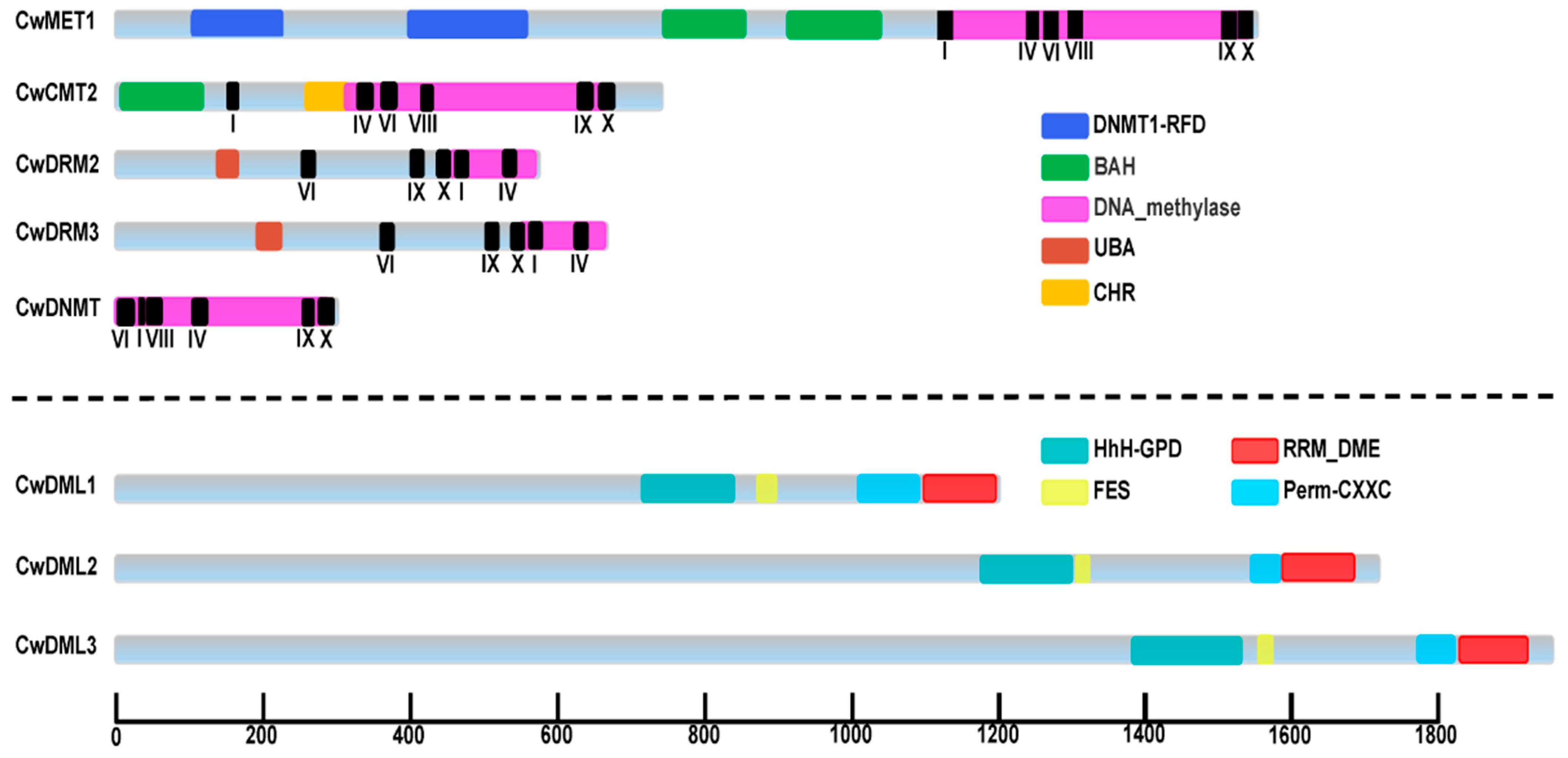 Biology 14 01739 g001 Biology 14 01739 g001