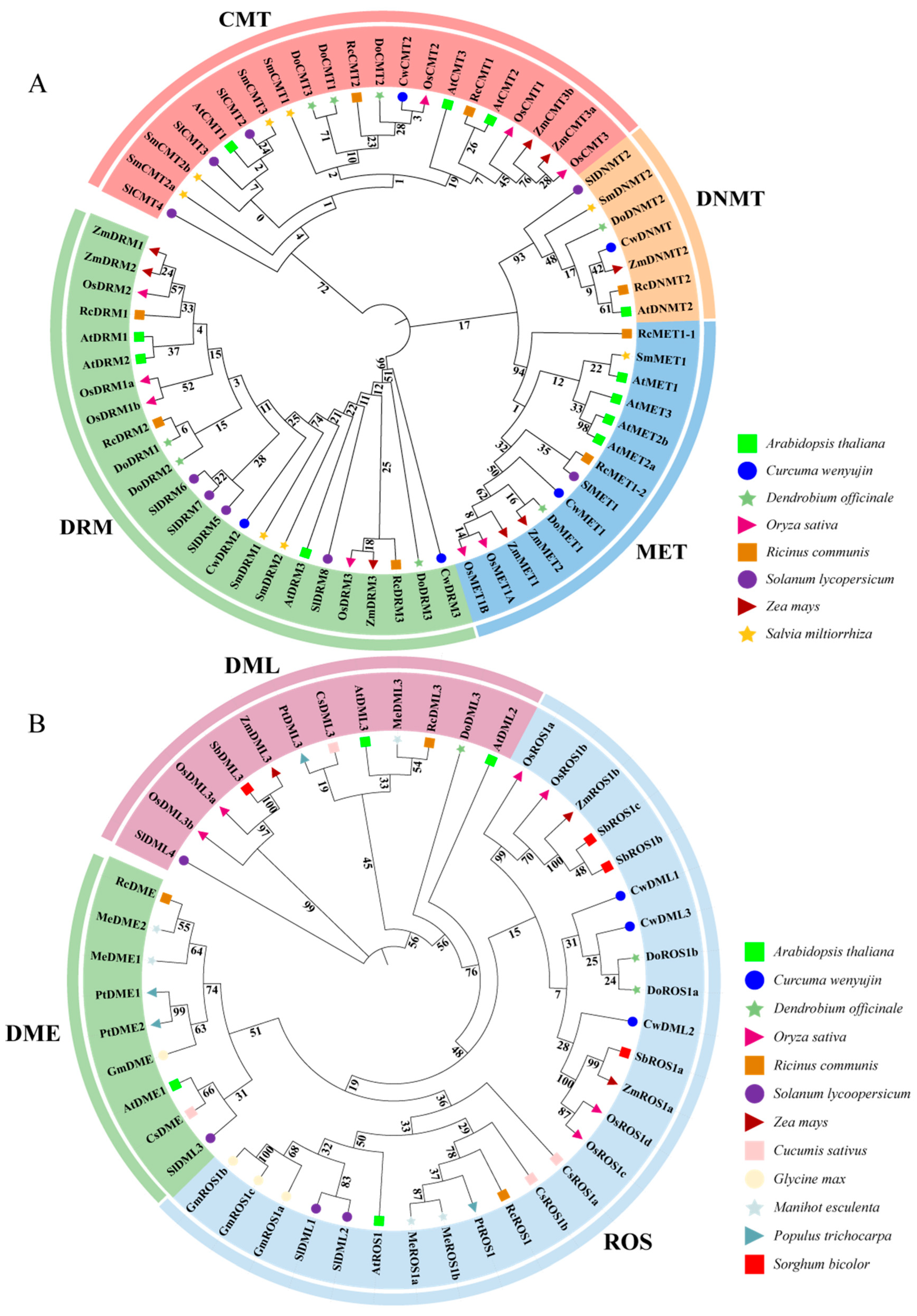 Biology 14 01739 g002 Biology 14 01739 g002