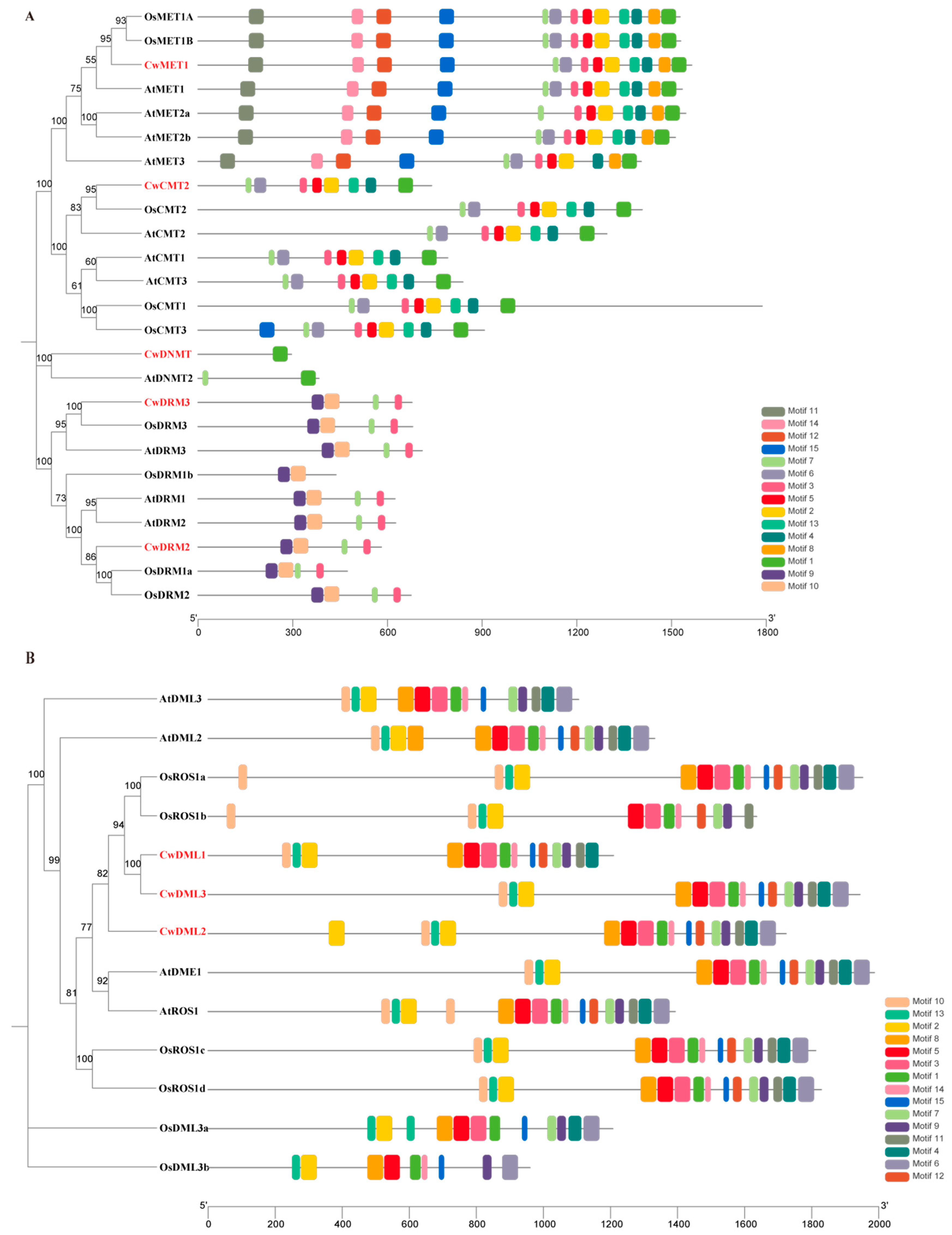 Biology 14 01739 g003 Biology 14 01739 g003