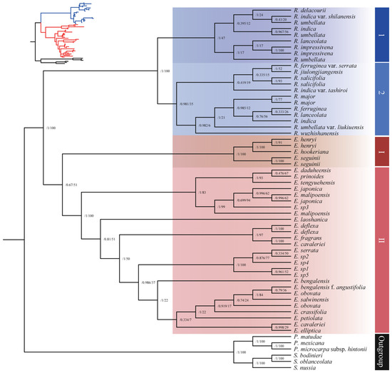 バスストップ（6巻セット） Microfluidics for Nanomedicine Delivery | ACS Biomaterials Science