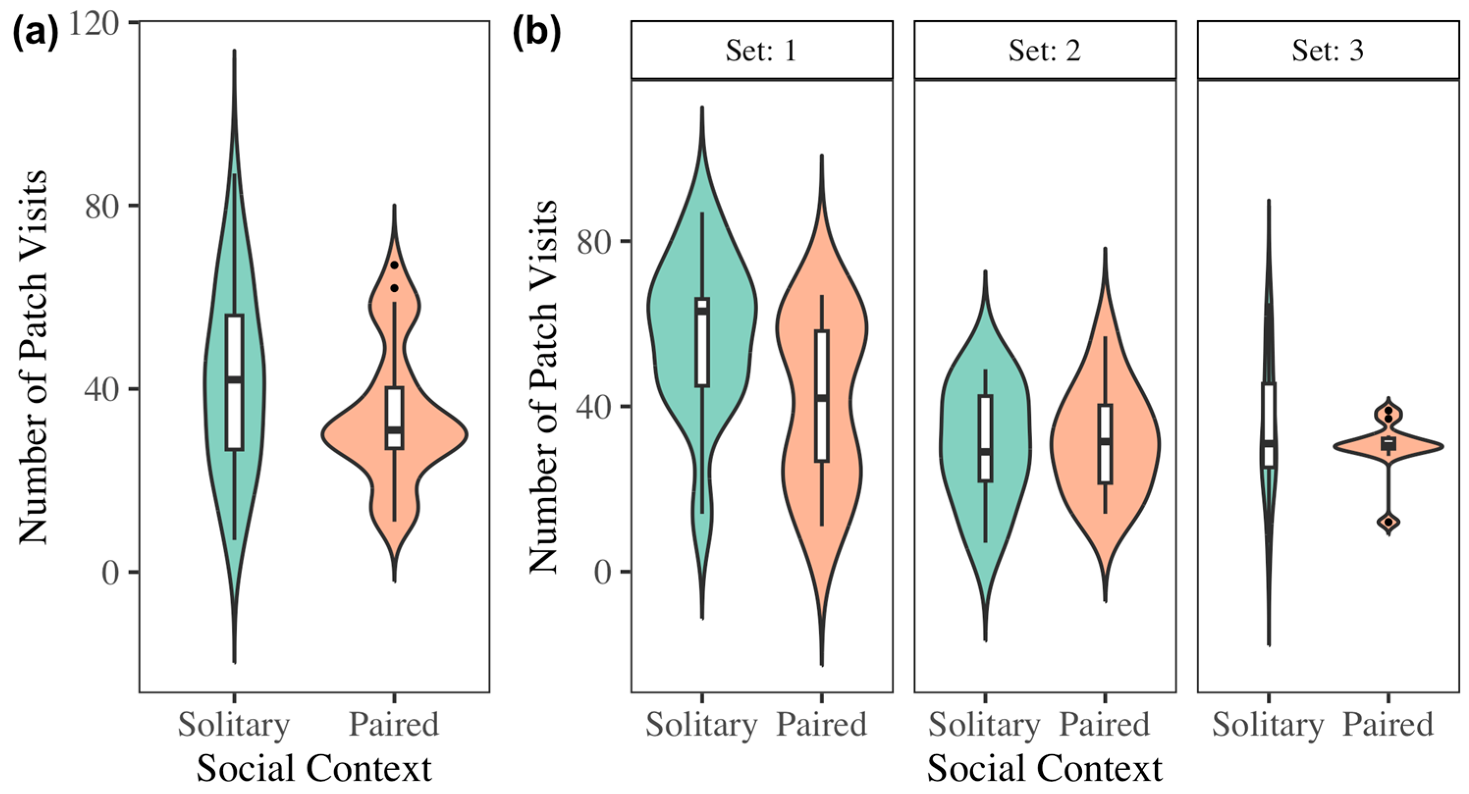 Biology 14 01742 g006