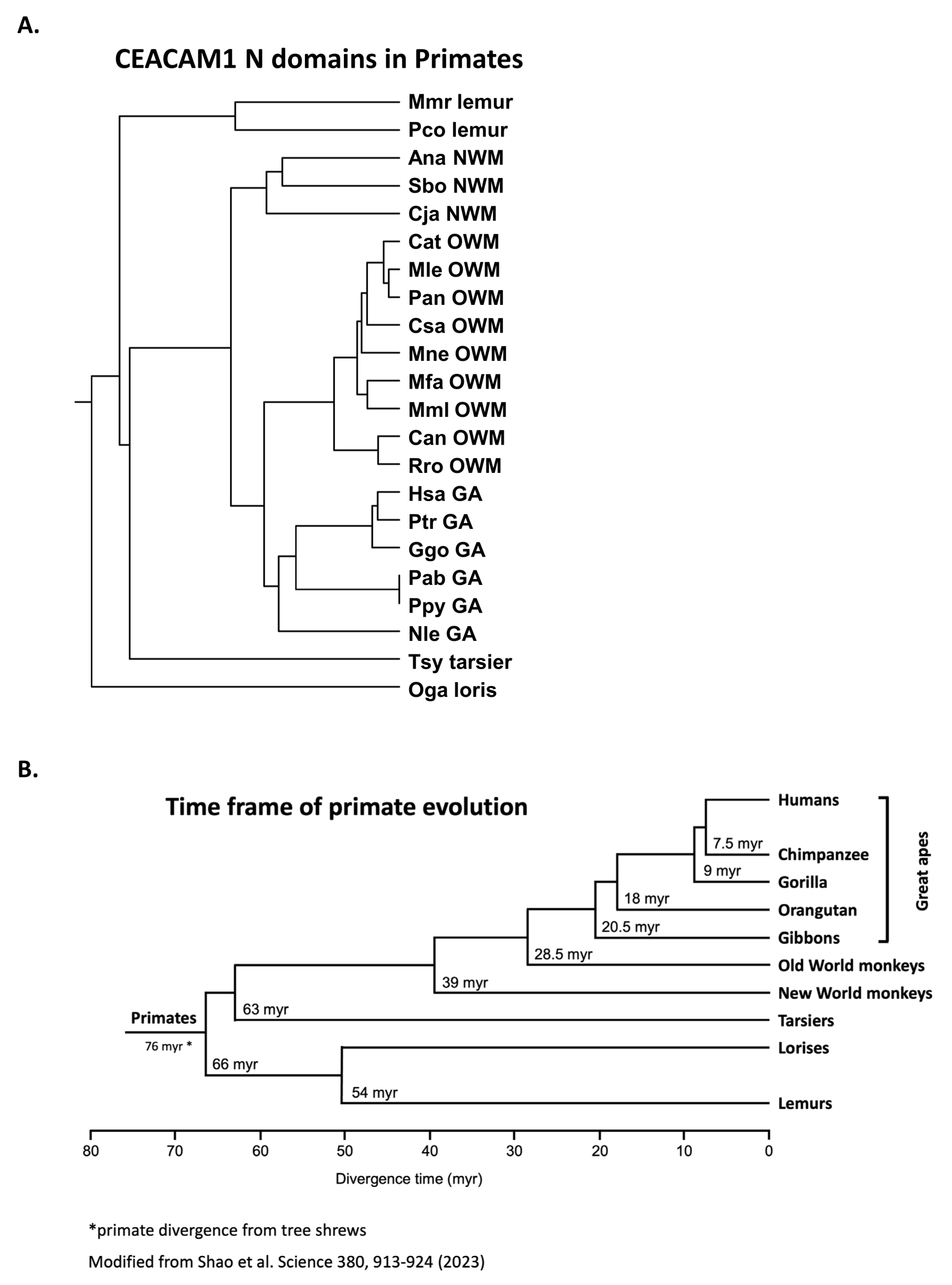 Biology 14 01744 g002 Biology 14 01744 g002